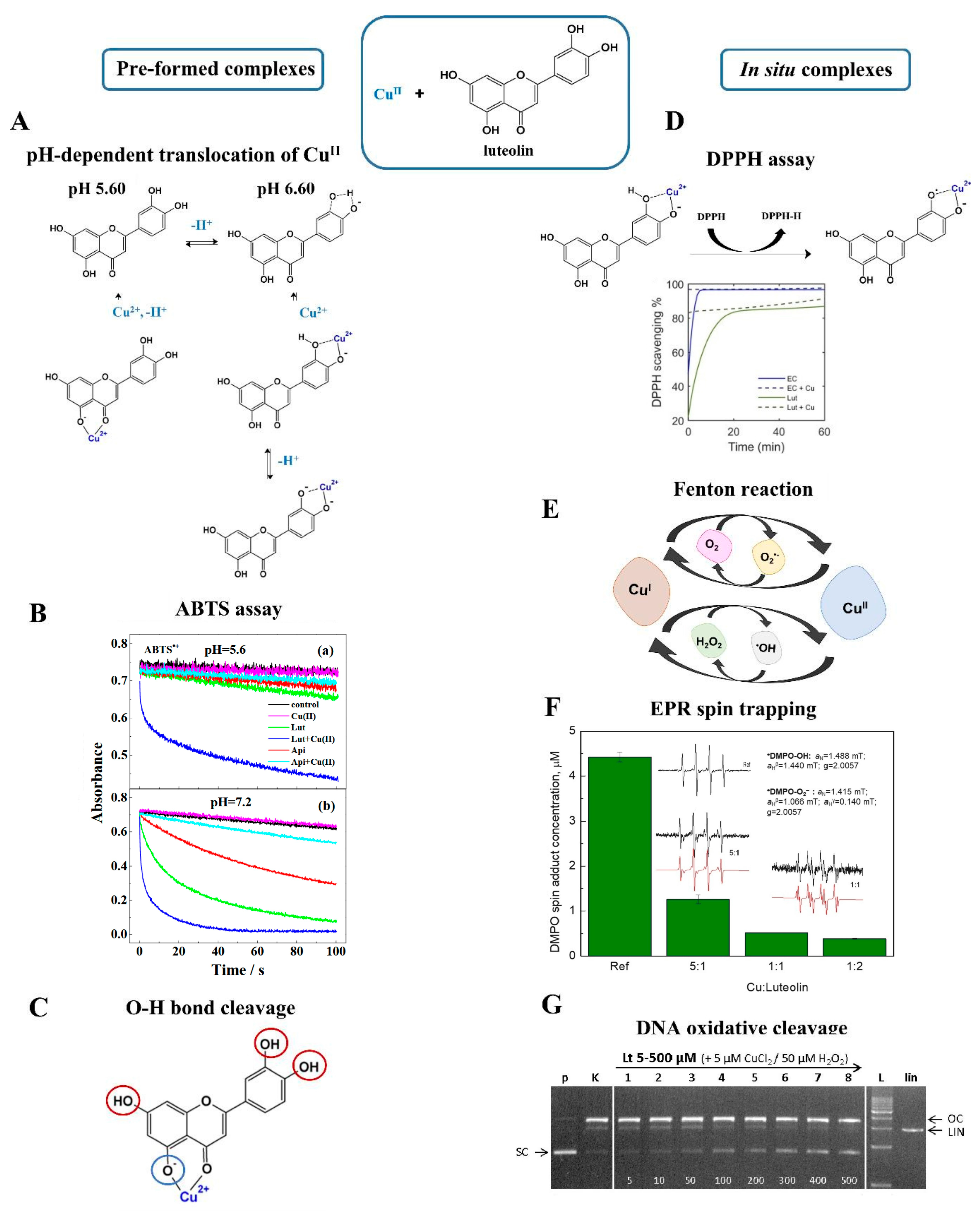 Molecules 29 02573 g006