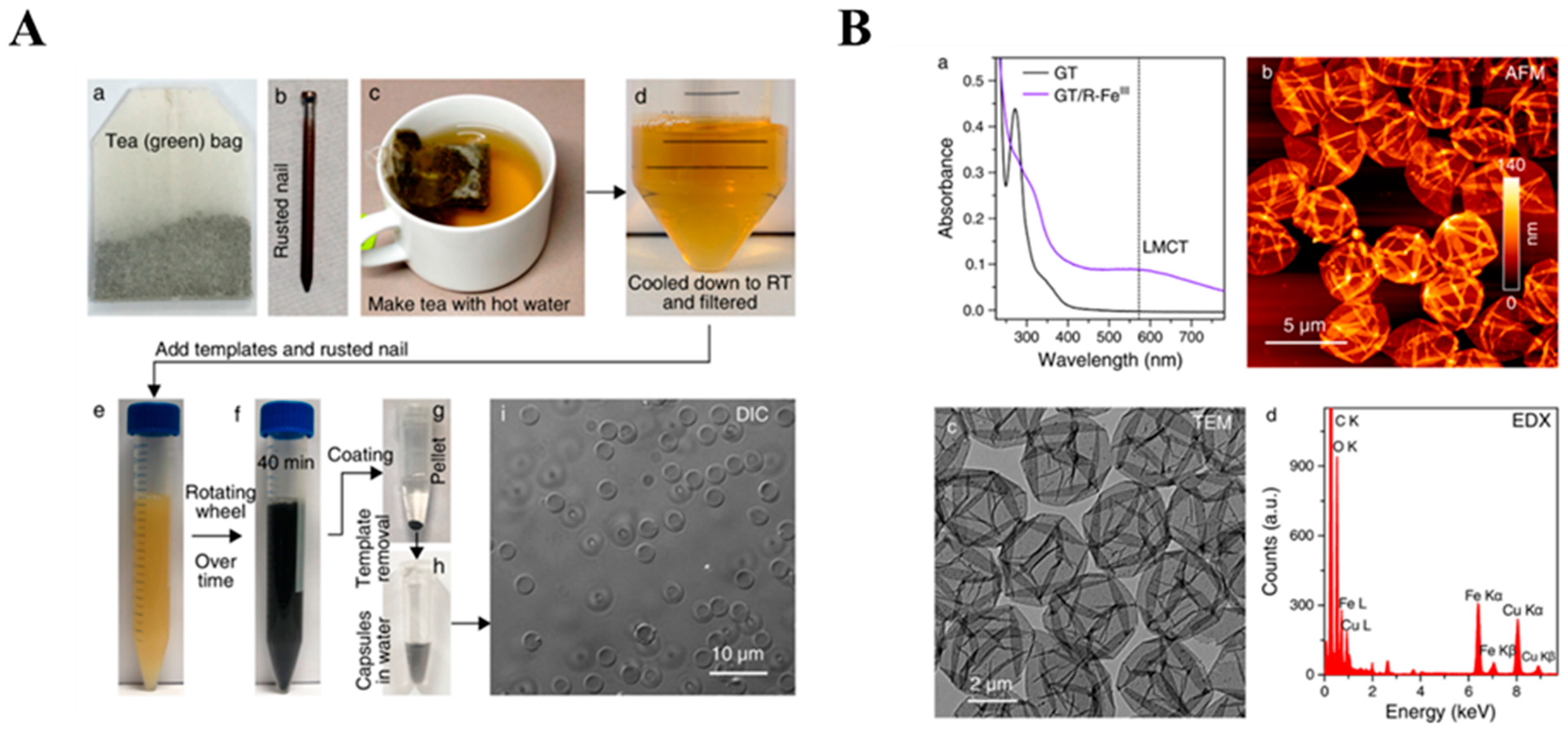 Molecules 29 02573 g009