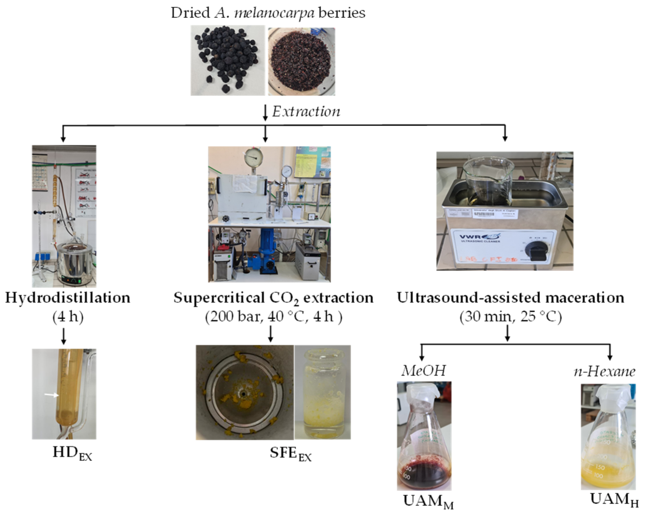 Molecules 29 02577 sch001