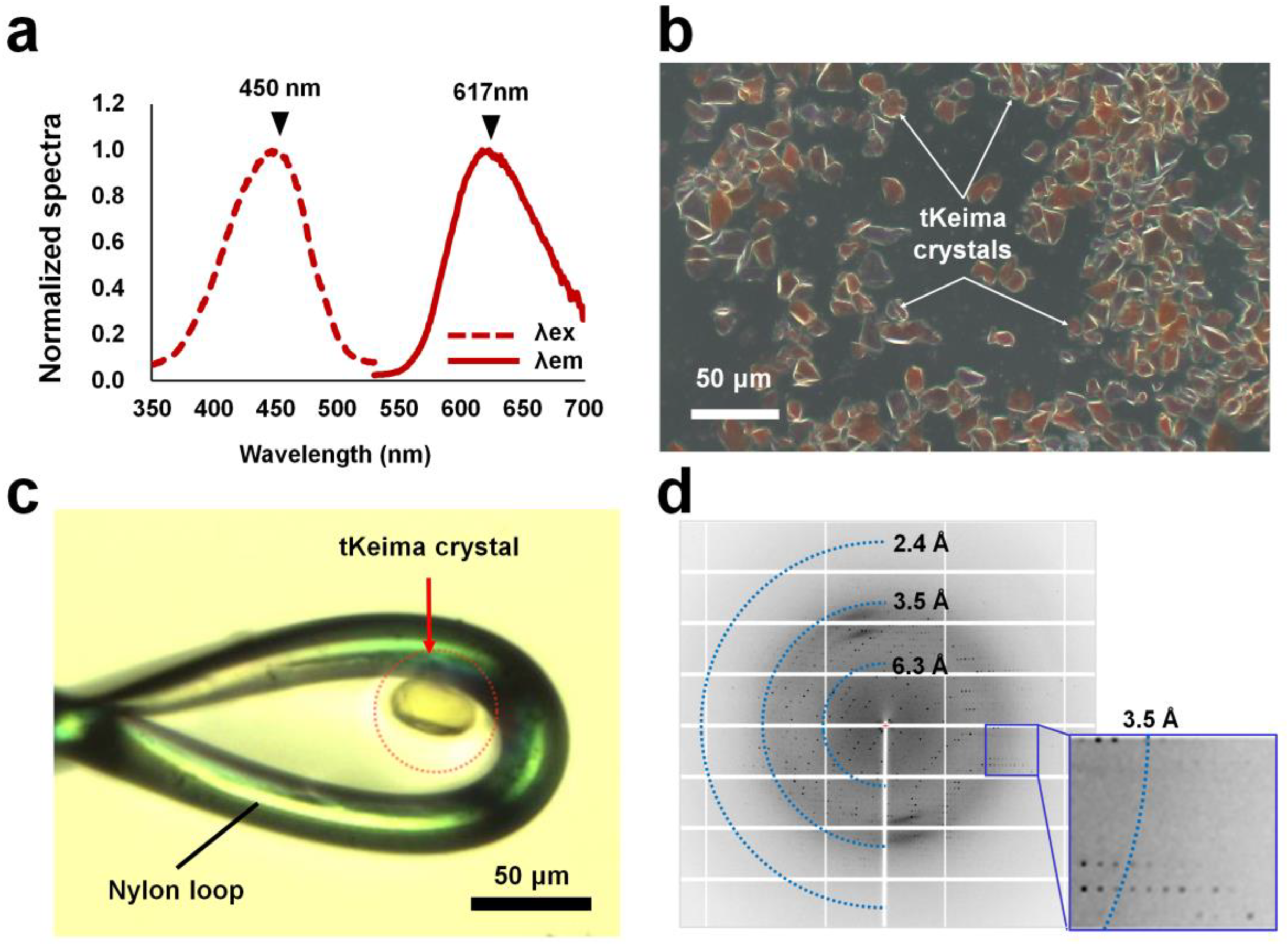 Molecules 29 02579 g001