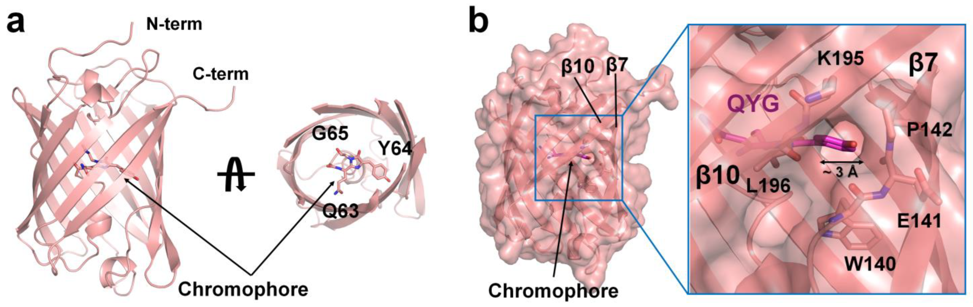 Molecules 29 02579 g002