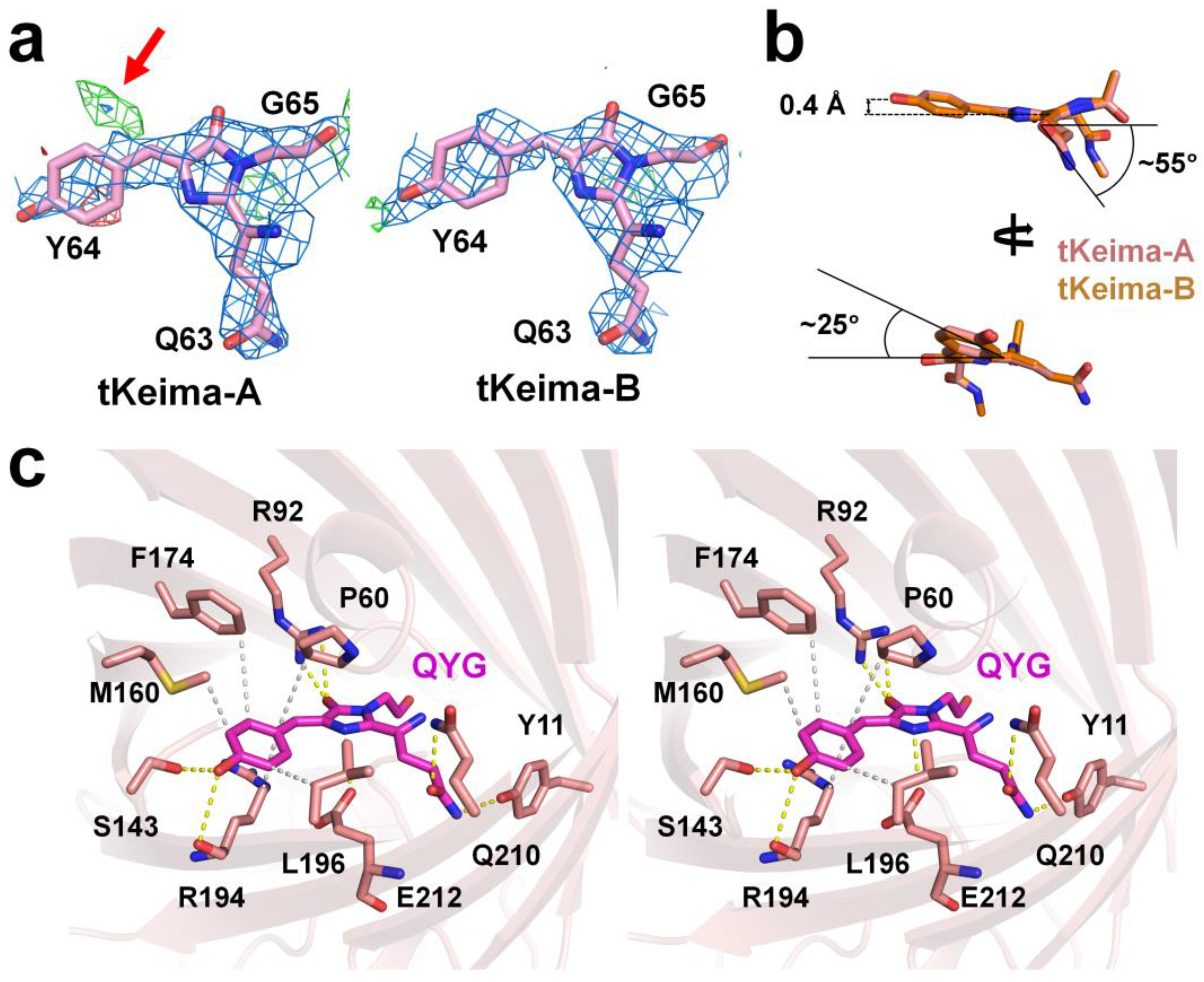 Molecules 29 02579 g003