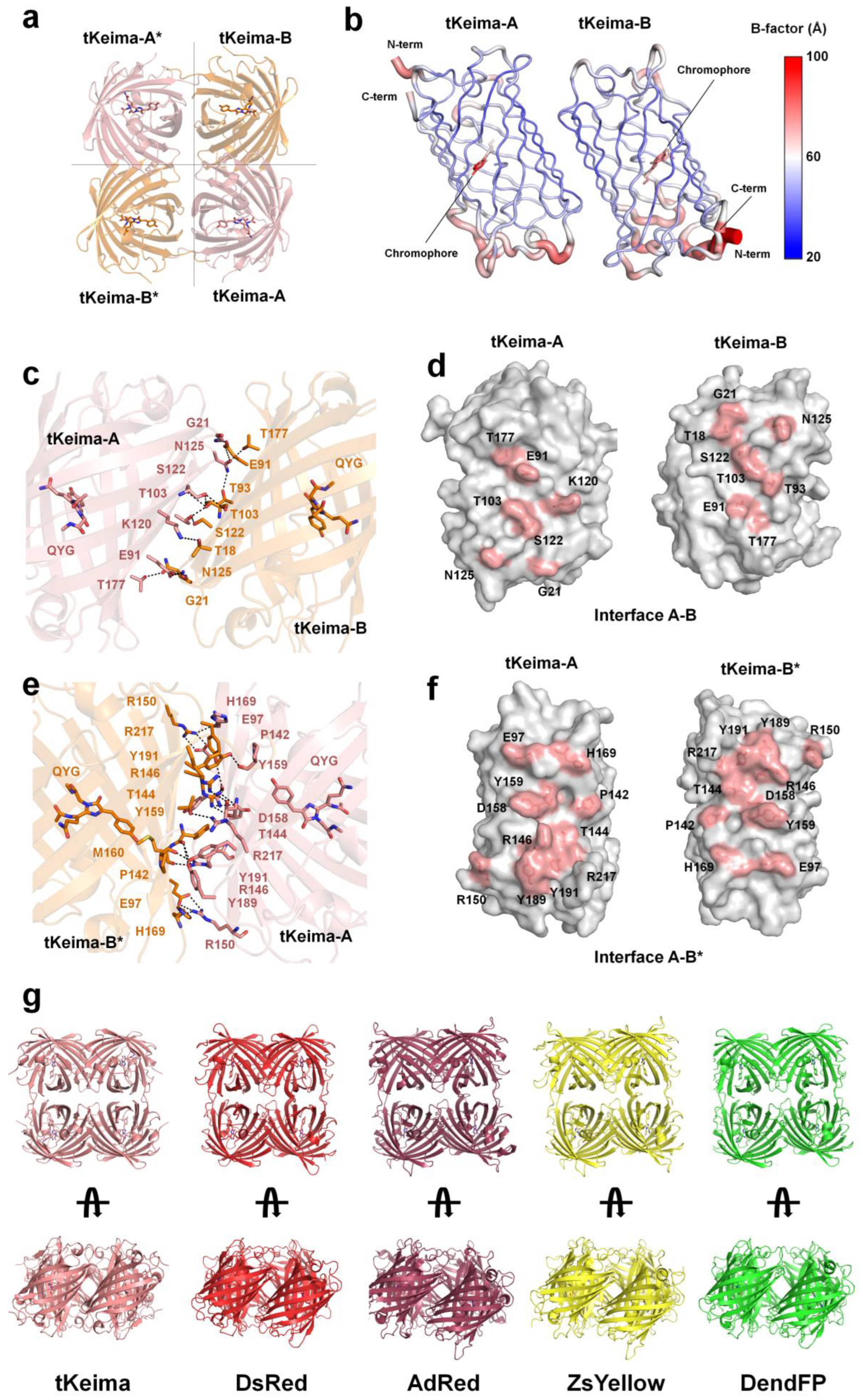 Molecules 29 02579 g004