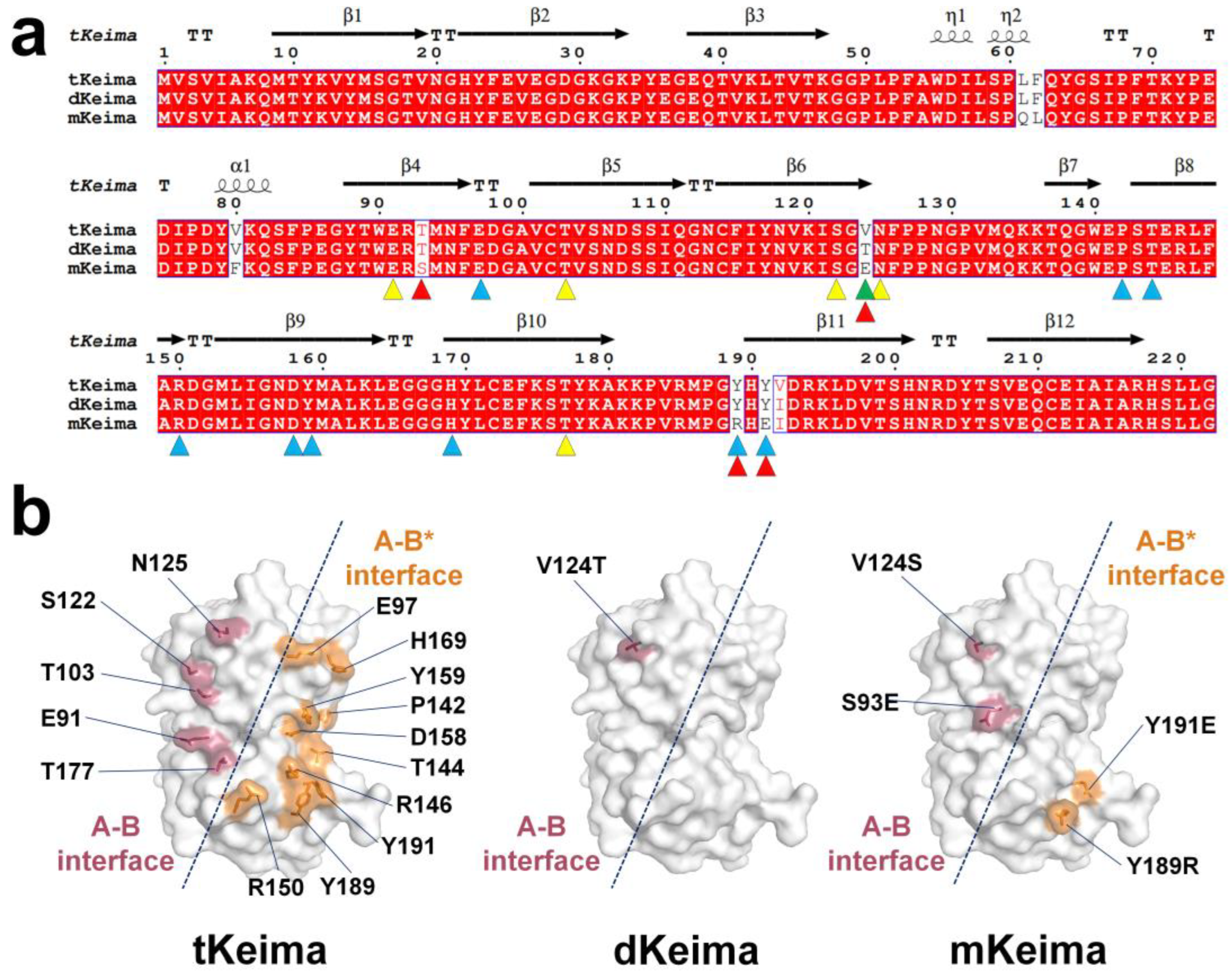 Molecules 29 02579 g005