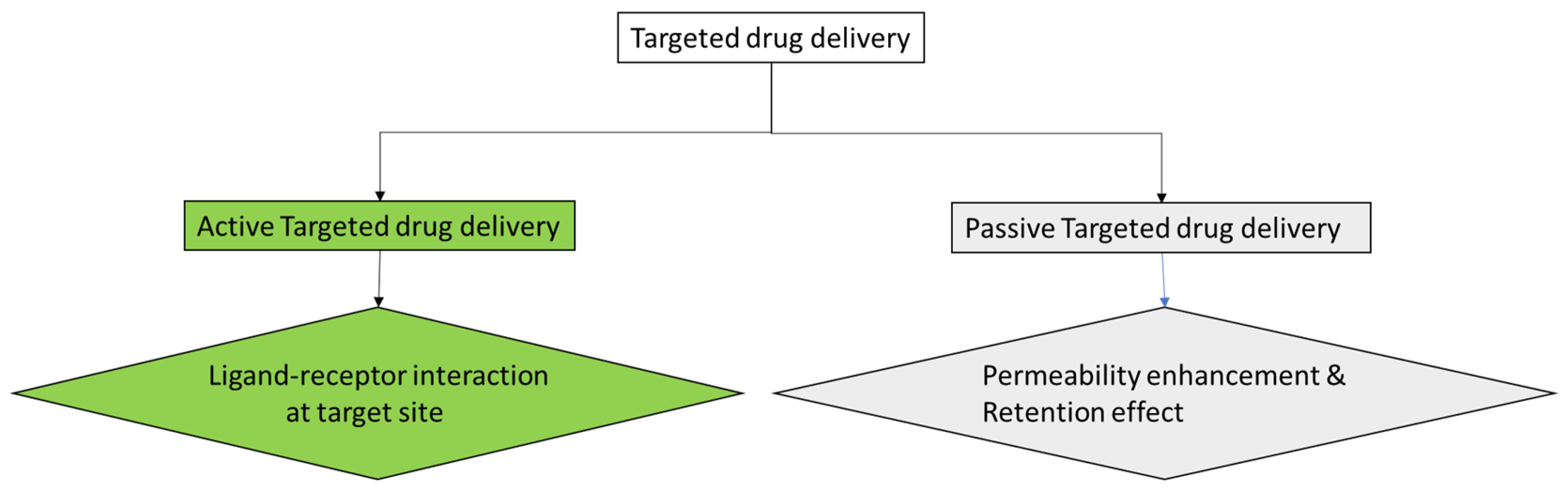 Molecules 29 02584 g001