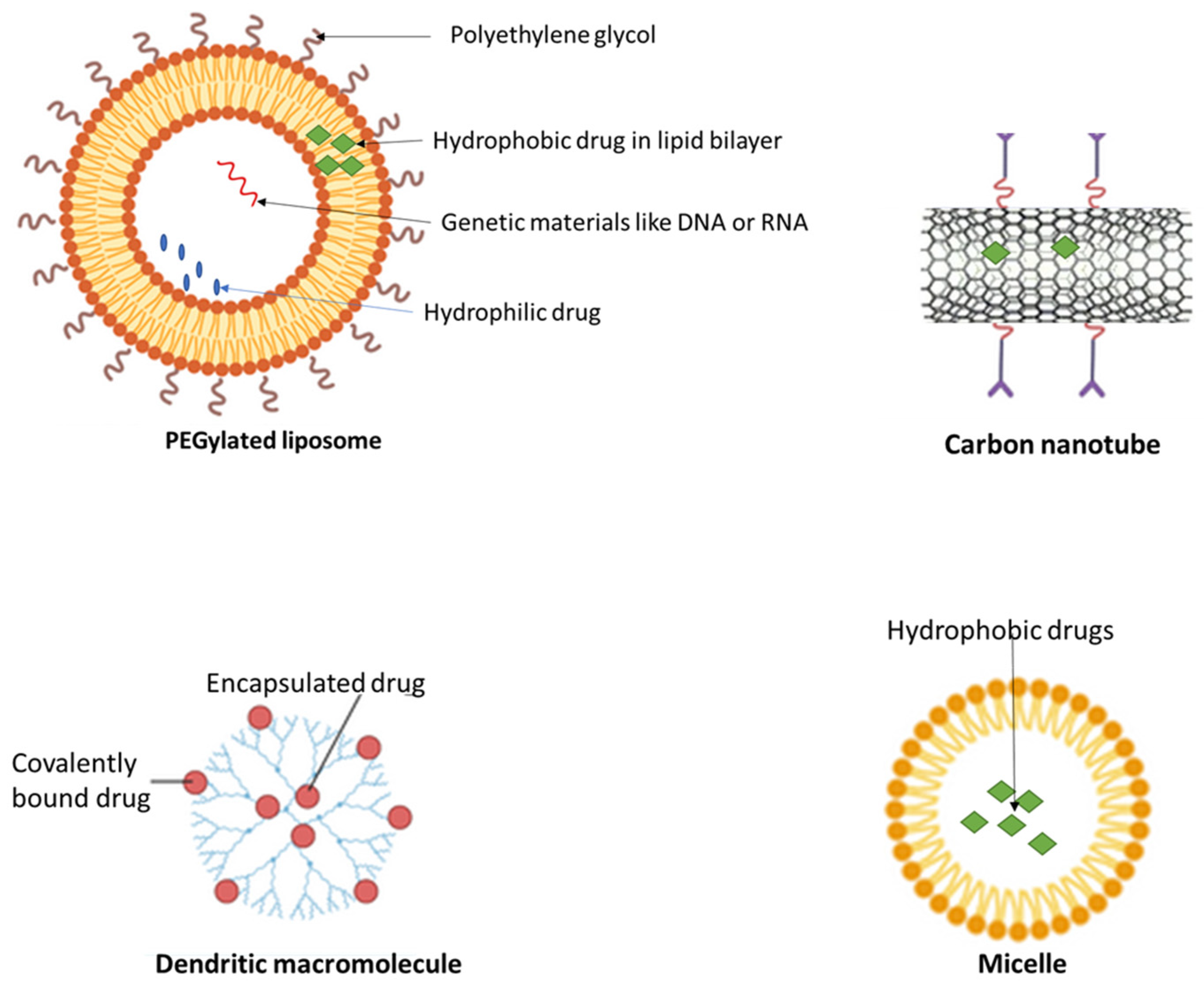 Molecules 29 02584 g003