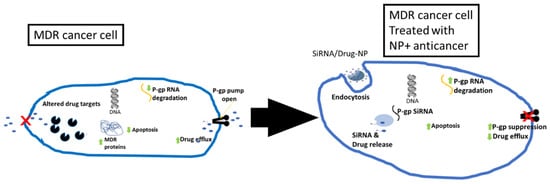 Molecules 29 02584 g005