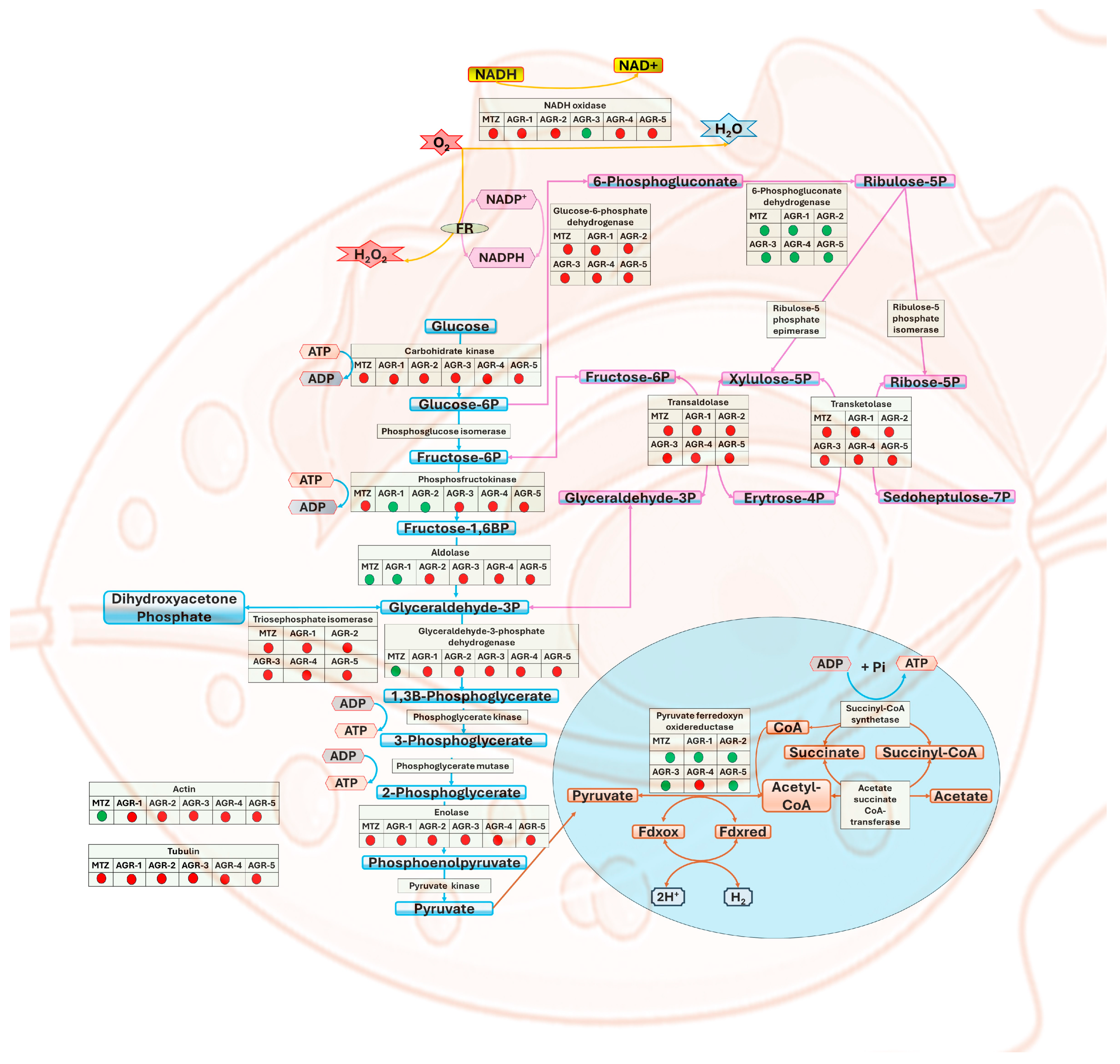 Molecules 29 02585 g008