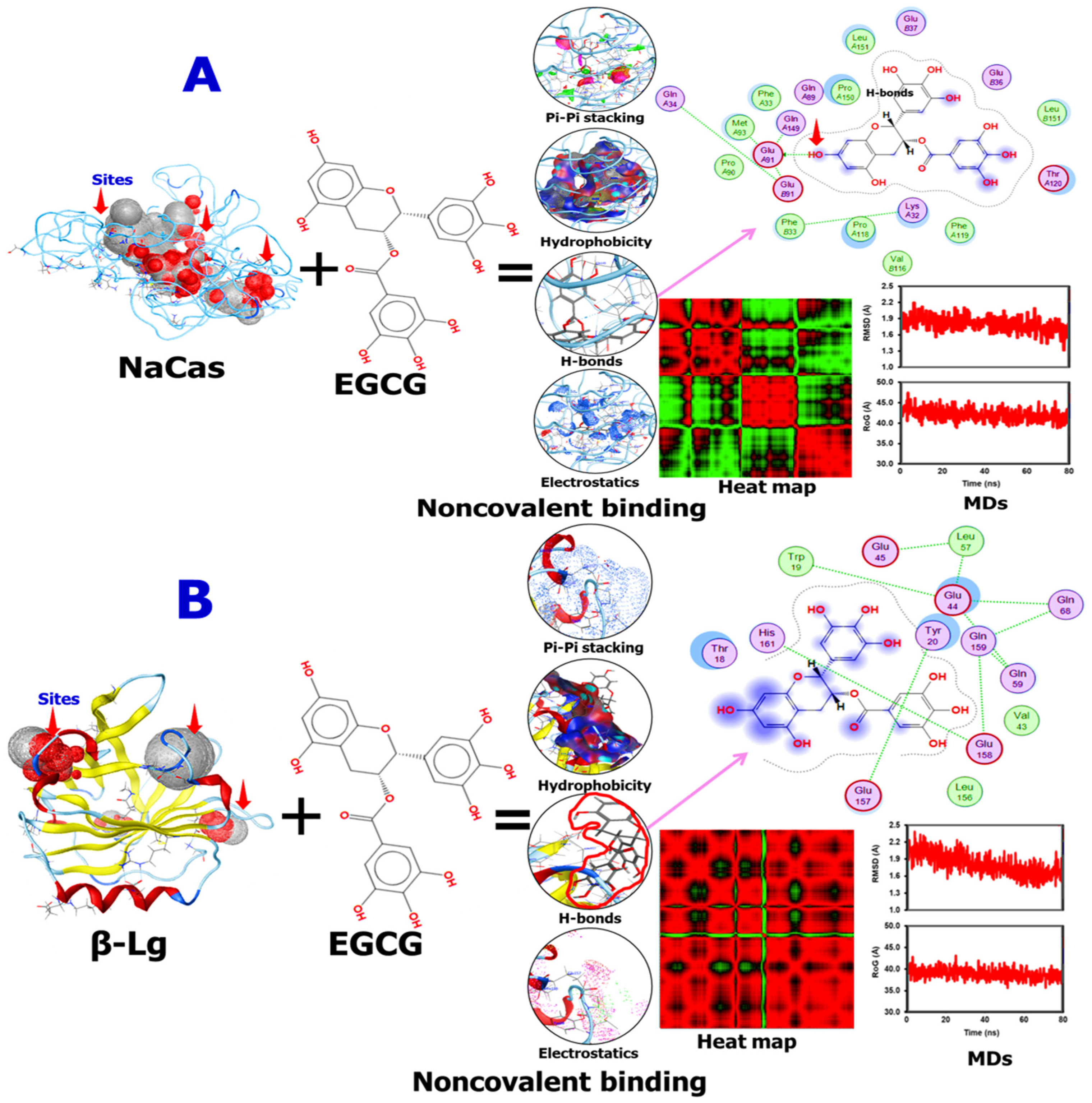 Molecules 29 02588 g002