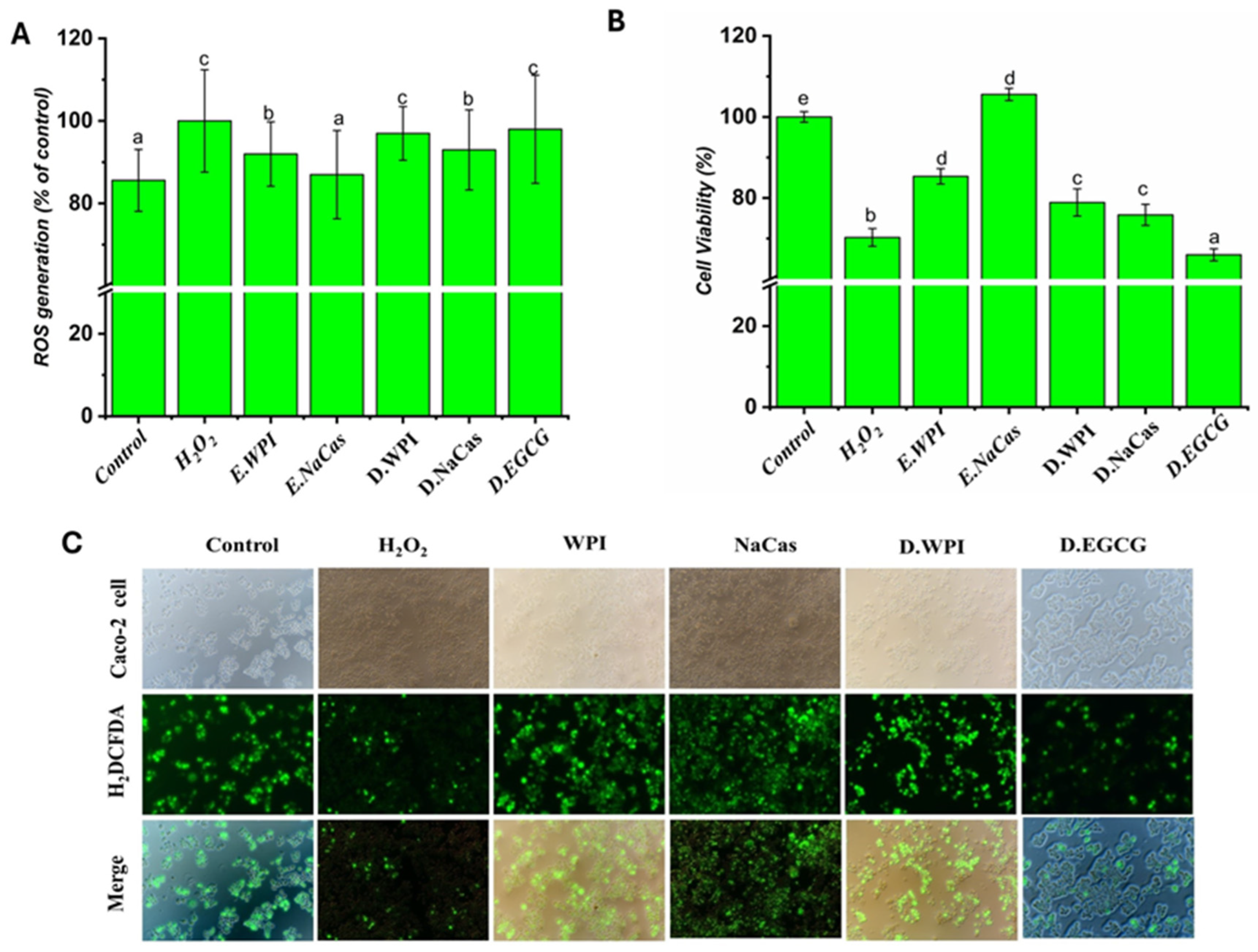 Molecules 29 02588 g005