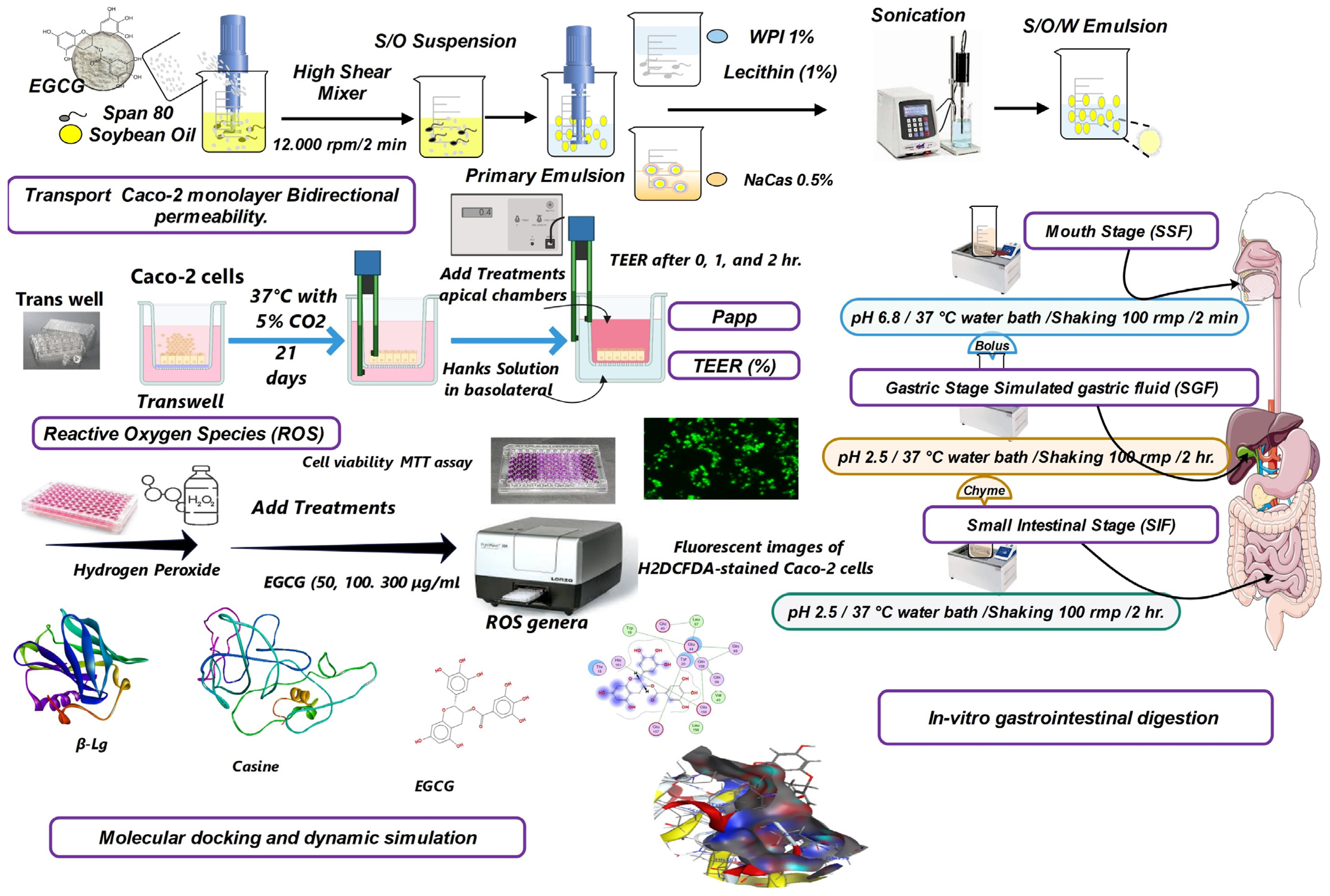 Molecules 29 02588 g007