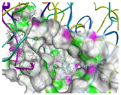 Molecules 29 02588 i002