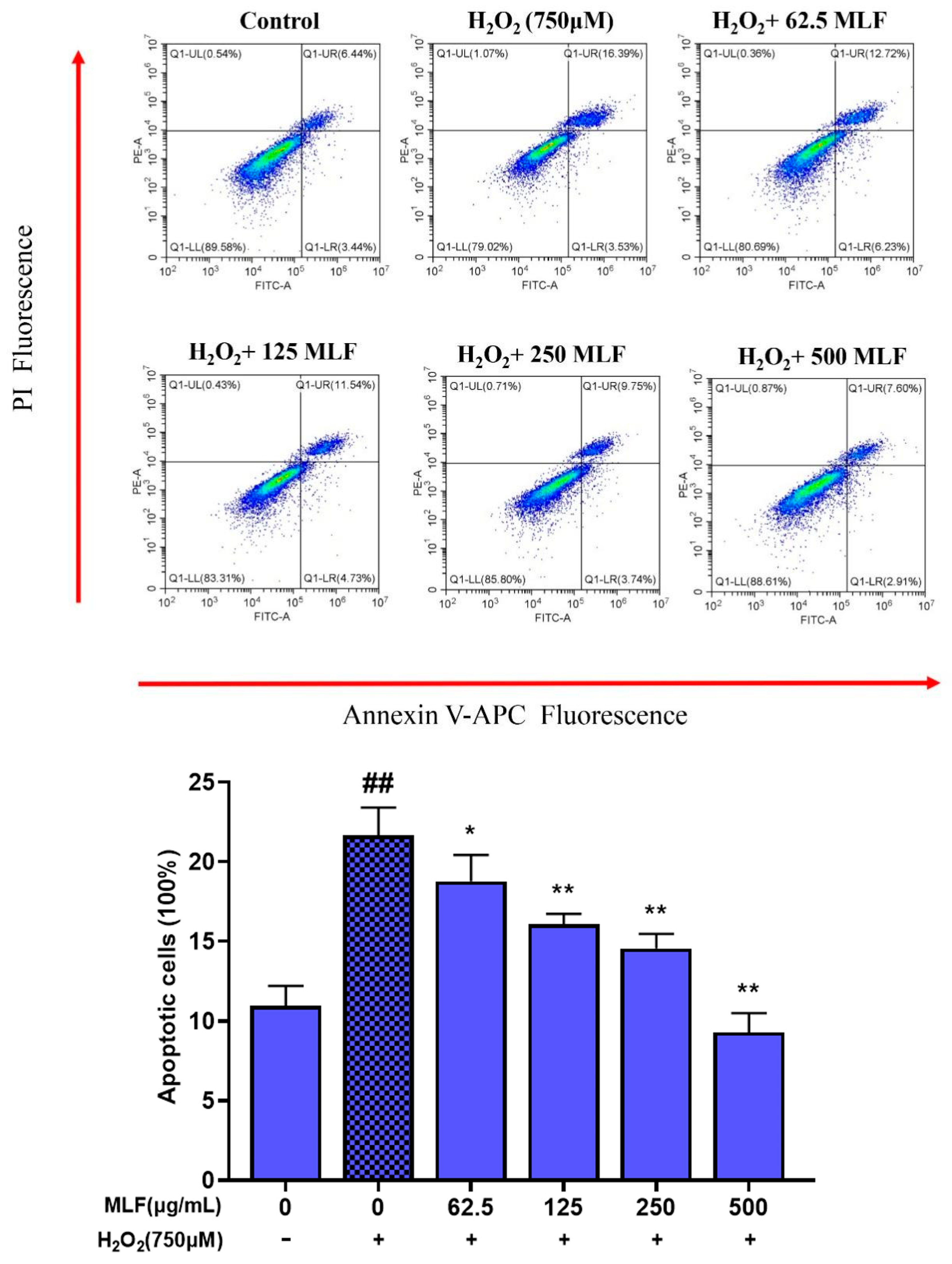 Molecules 29 02597 g002
