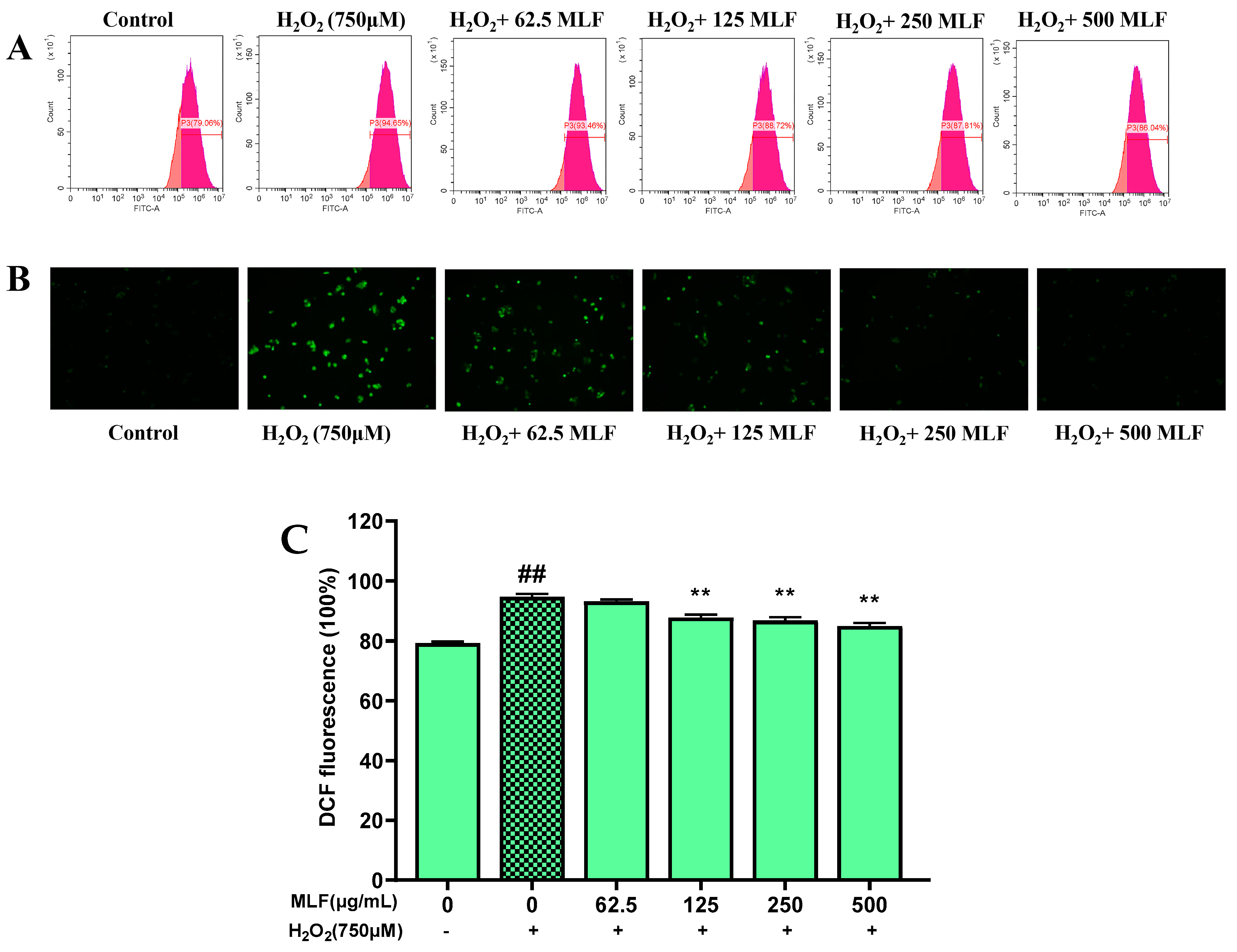 Molecules 29 02597 g004