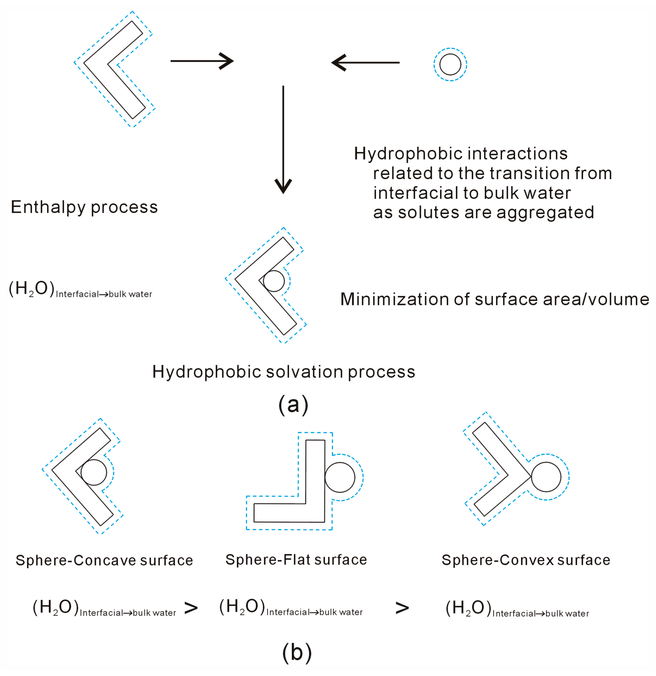 Molecules 29 02601 g008