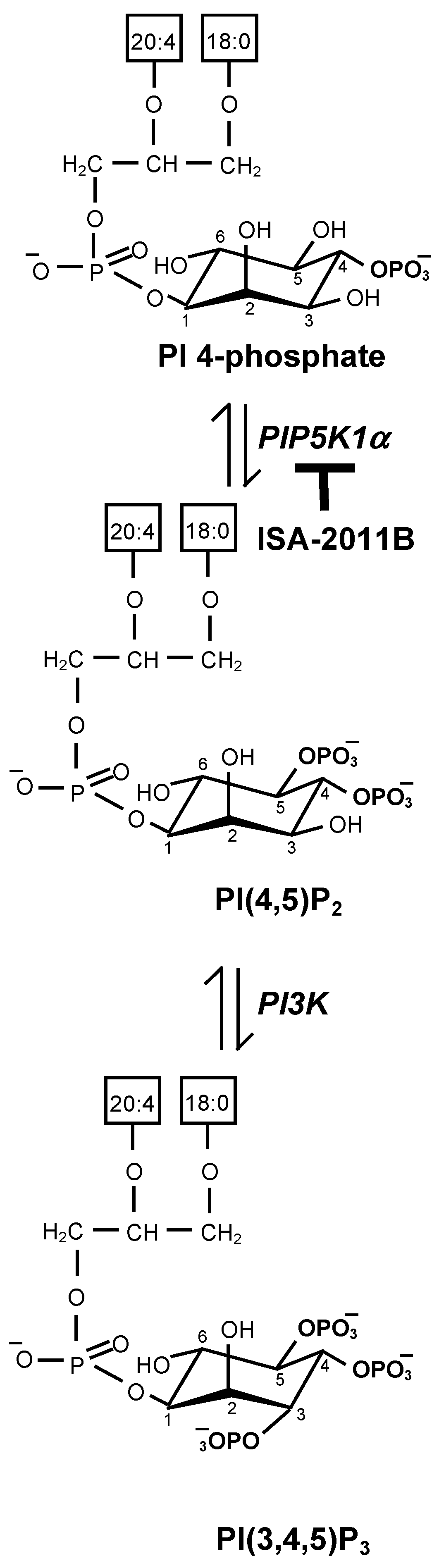 Molecules 29 02602 g001