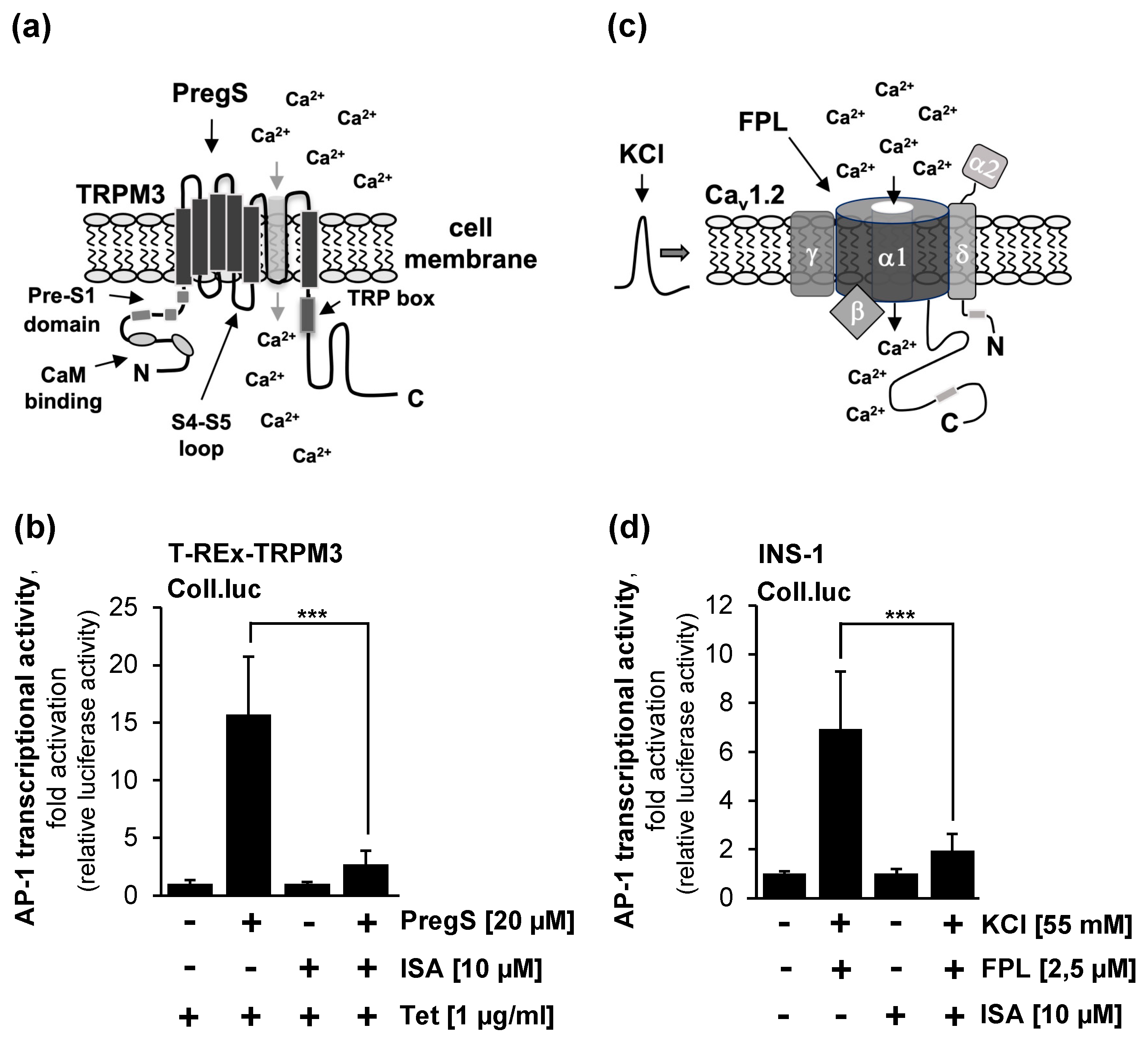 Molecules 29 02602 g003