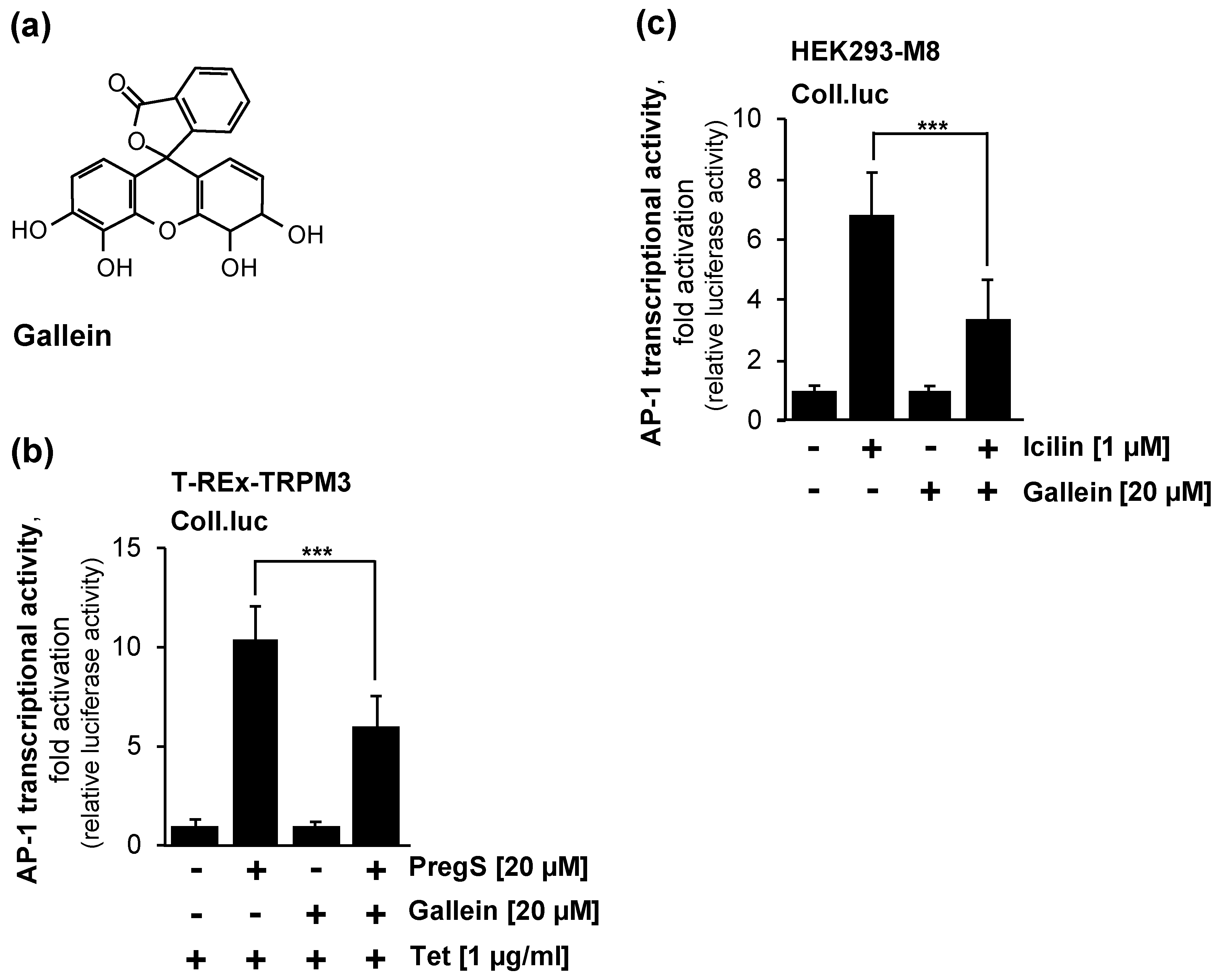 Molecules 29 02602 g005