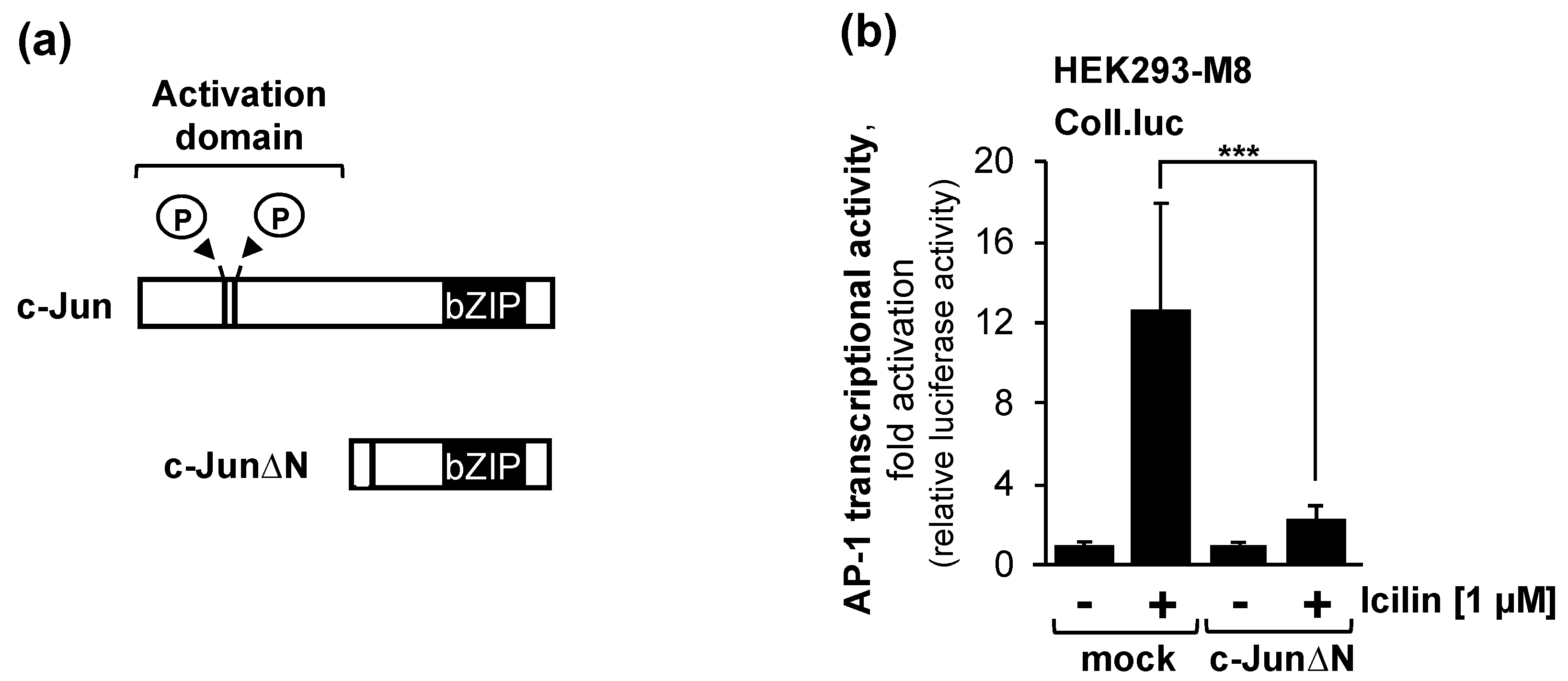 Molecules 29 02602 g006