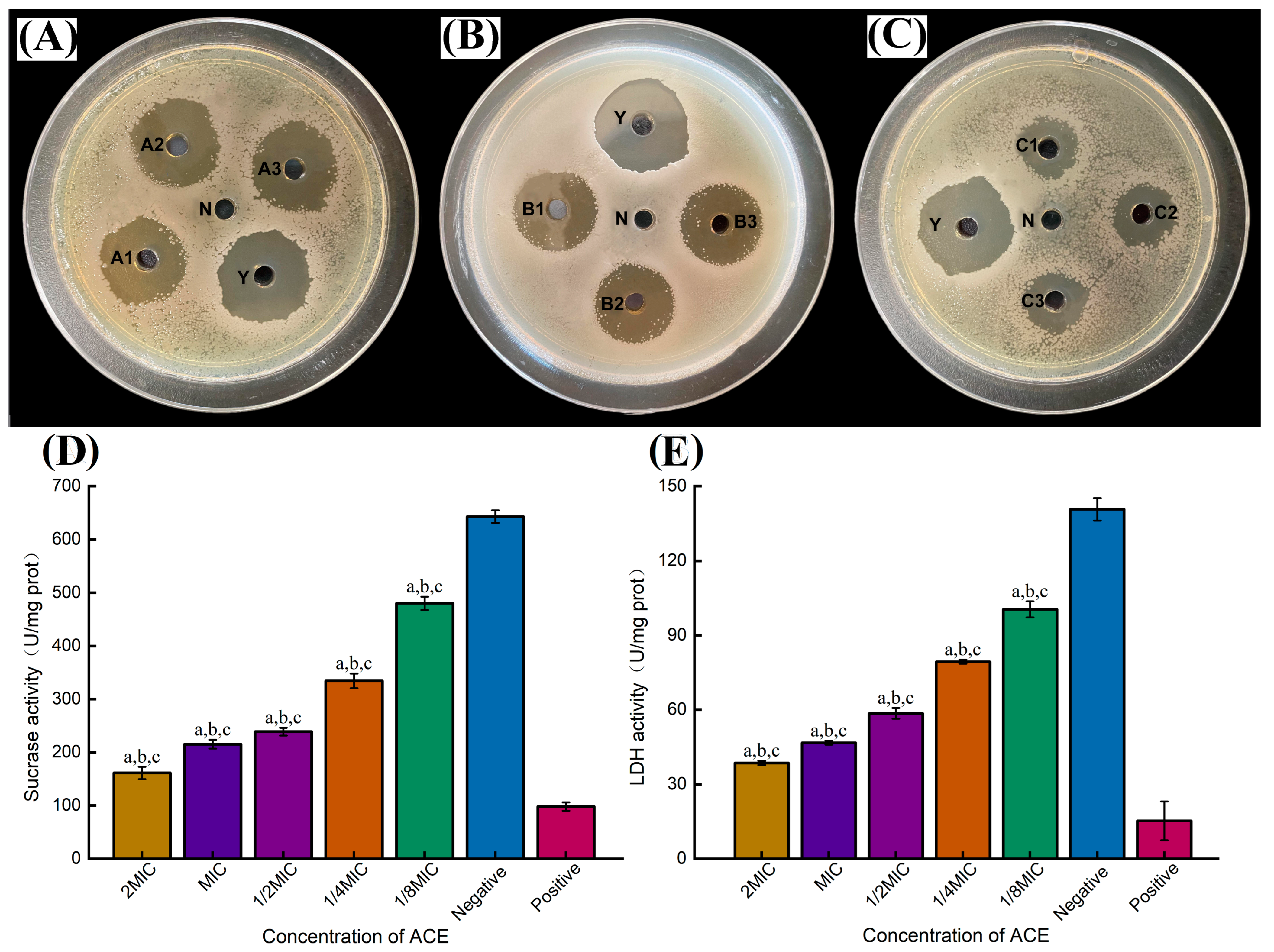 Molecules 29 02610 g010
