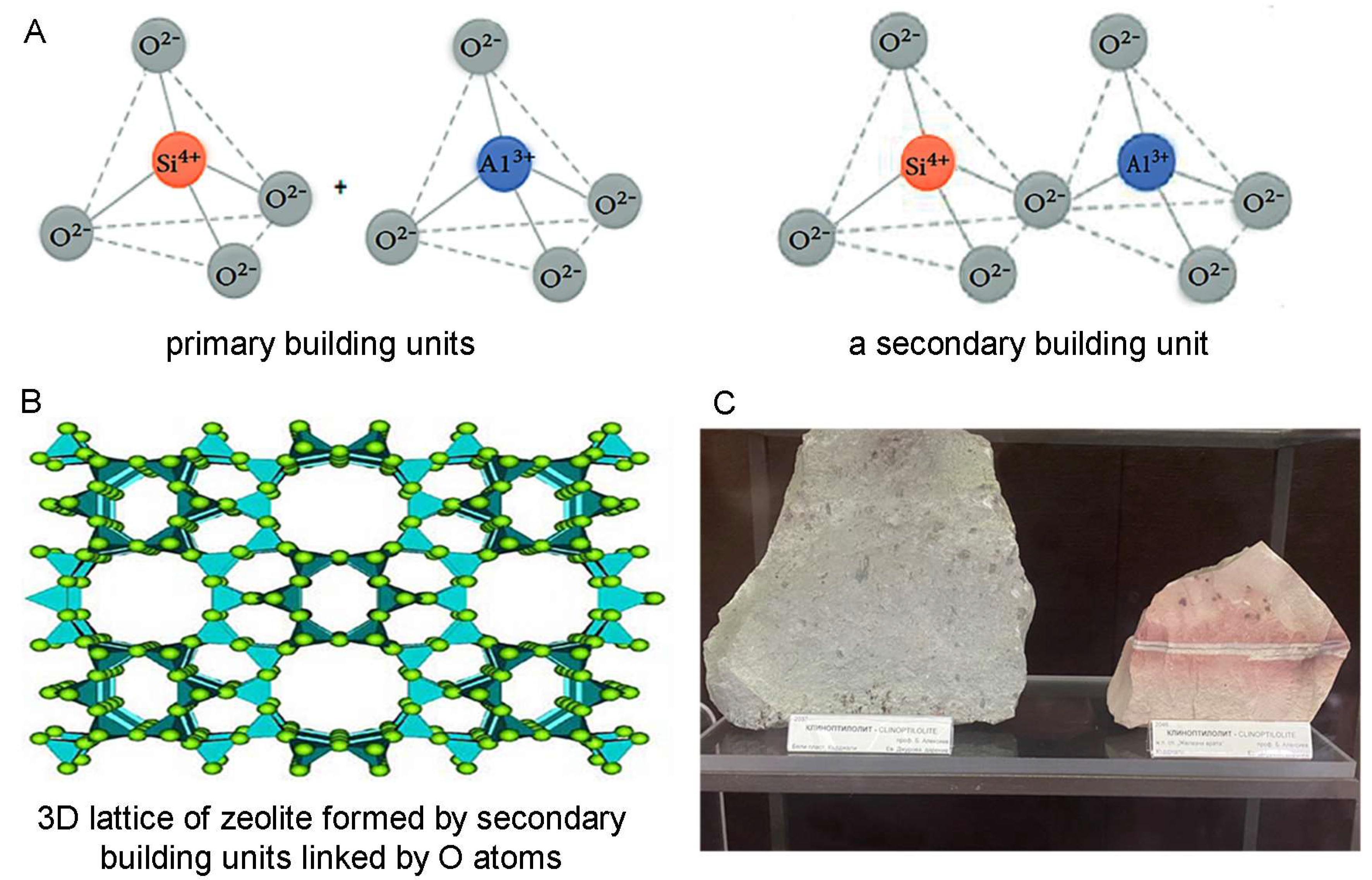 Molecules 29 02614 g001