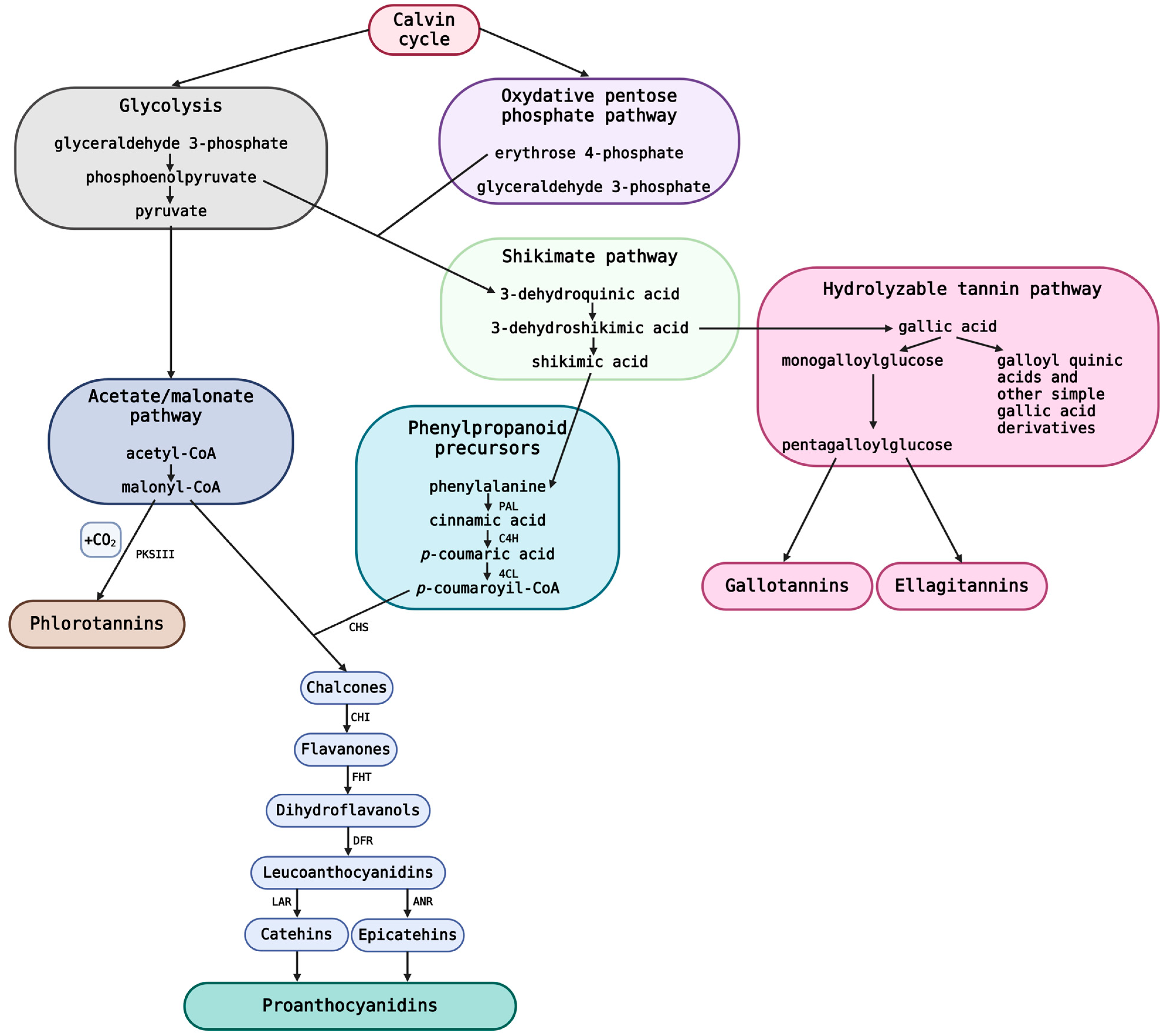 Molecules 29 02615 g003