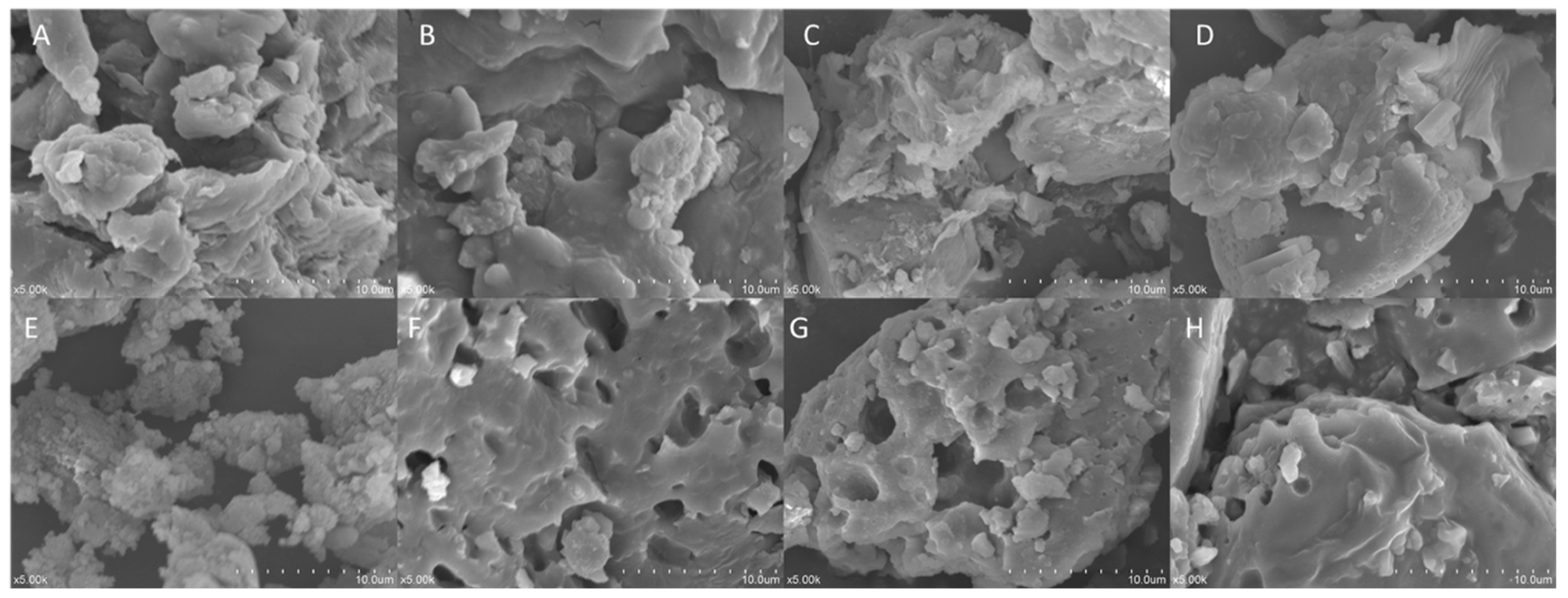 Molecules 29 02619 g002