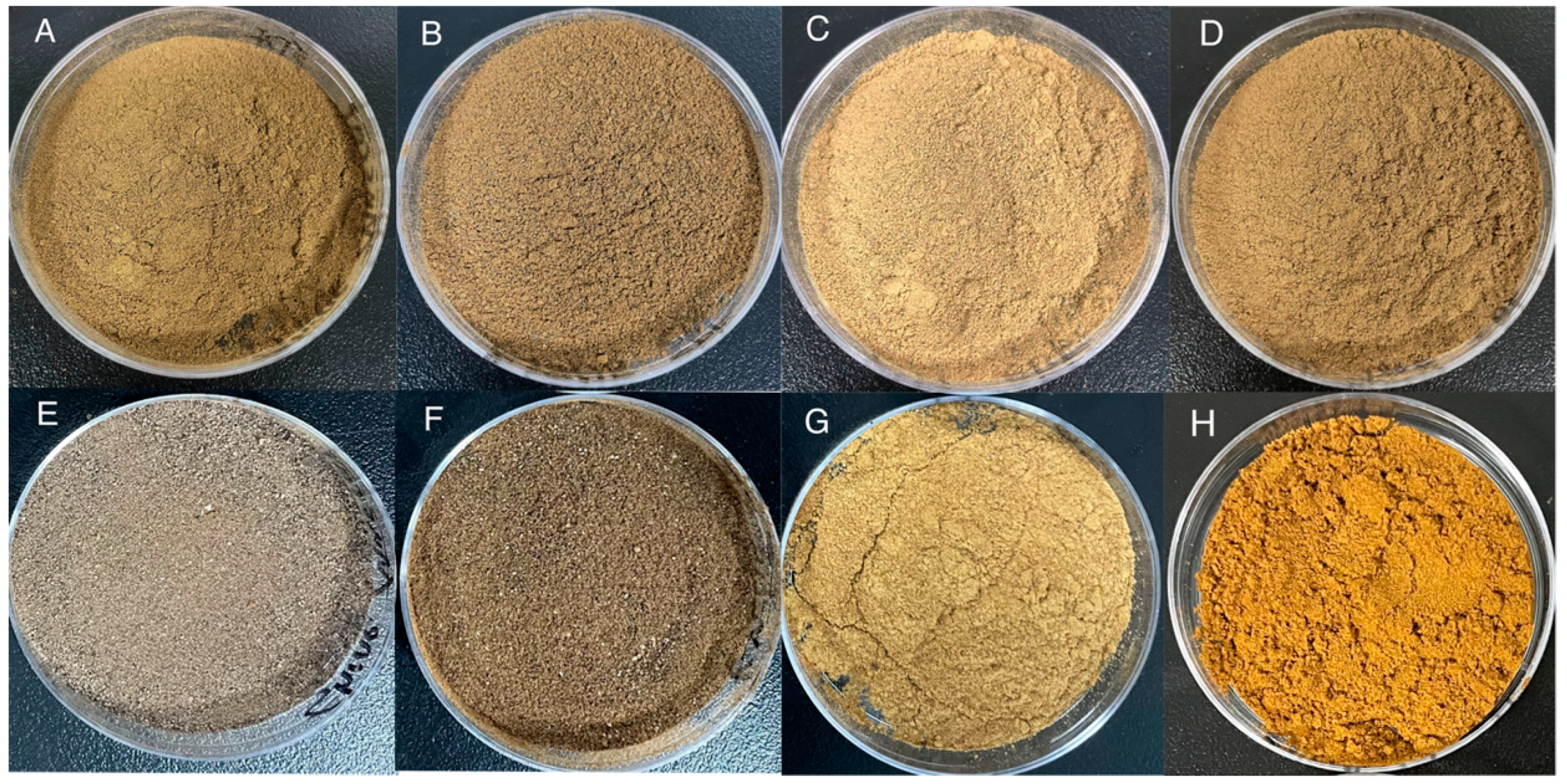 Molecules 29 02619 g008