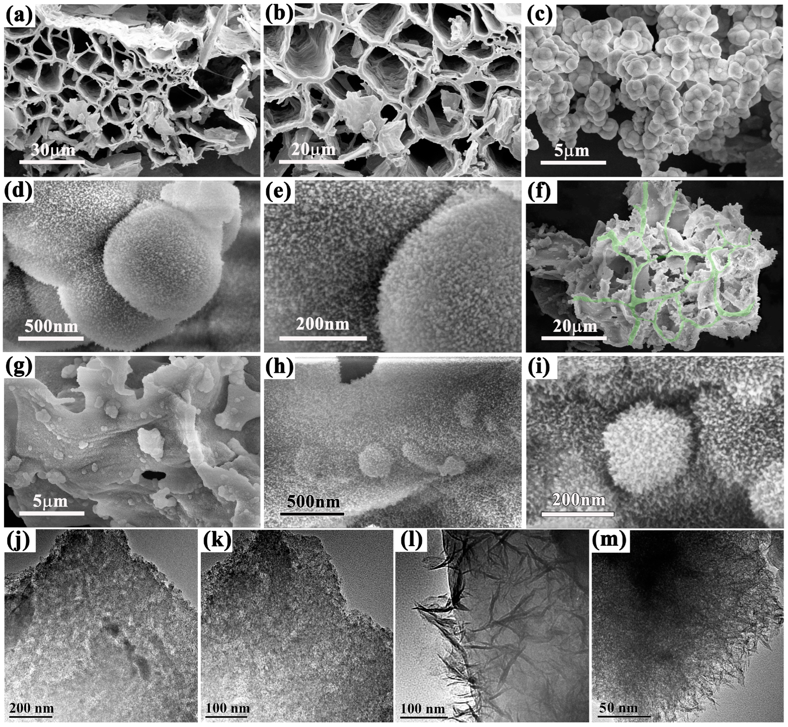 Molecules 29 02620 g002