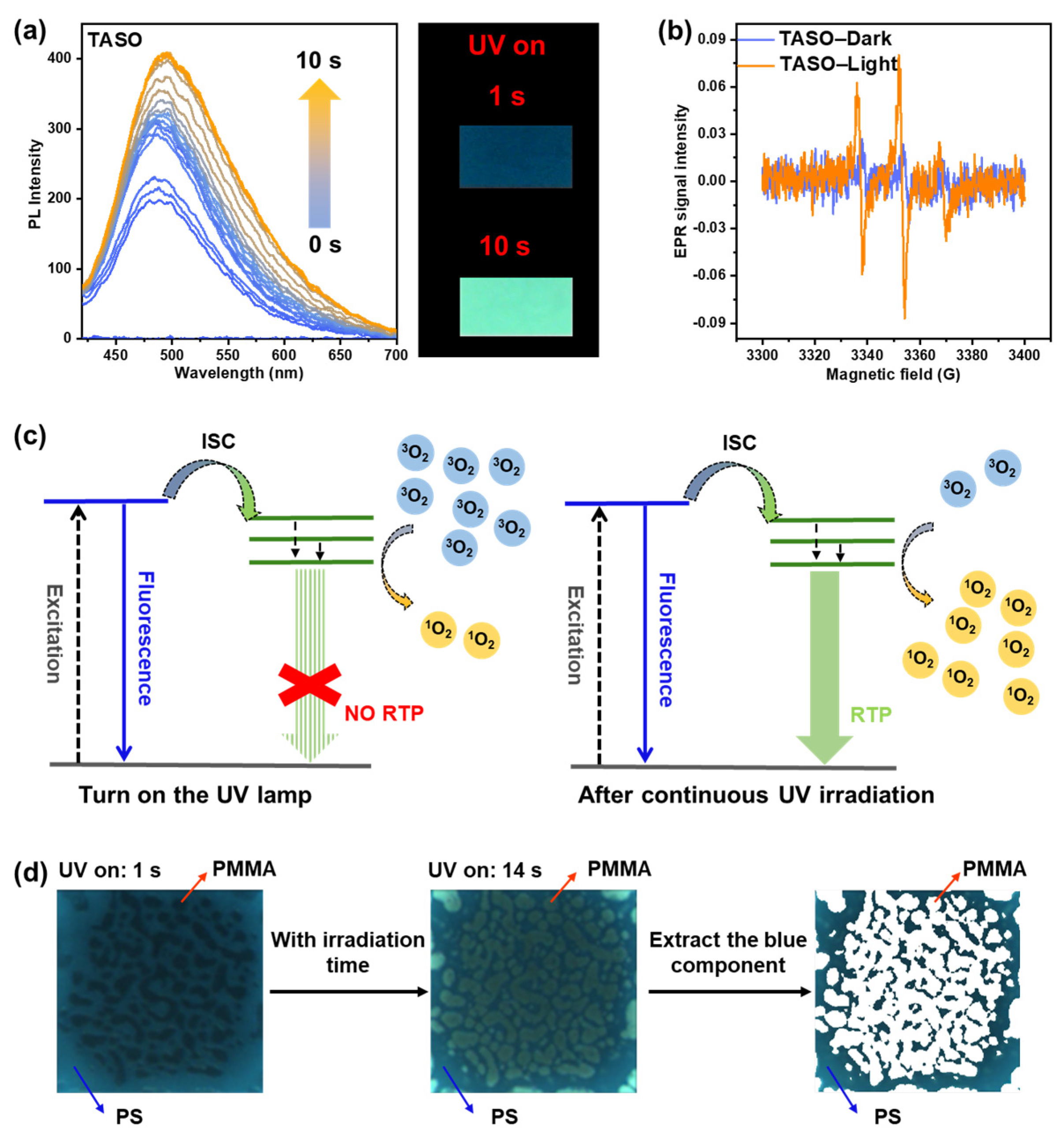 Molecules 29 02621 g004