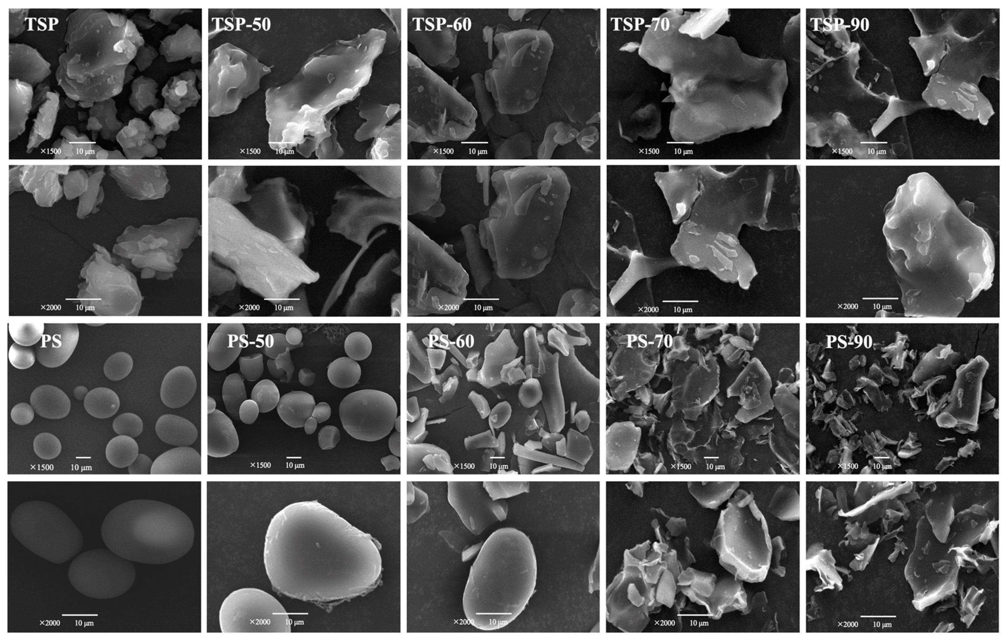 Molecules 29 02622 g003