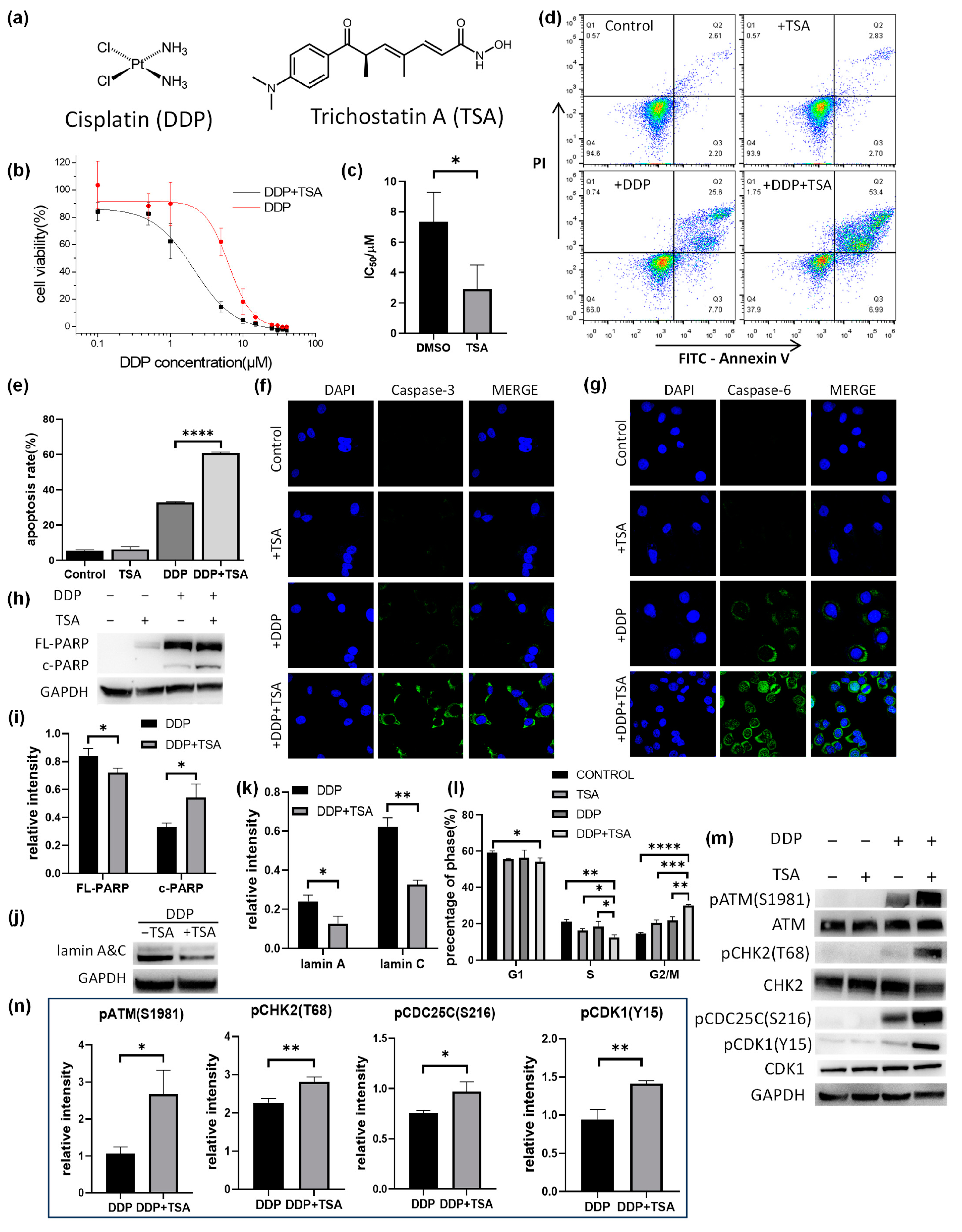 Molecules 29 02623 g001