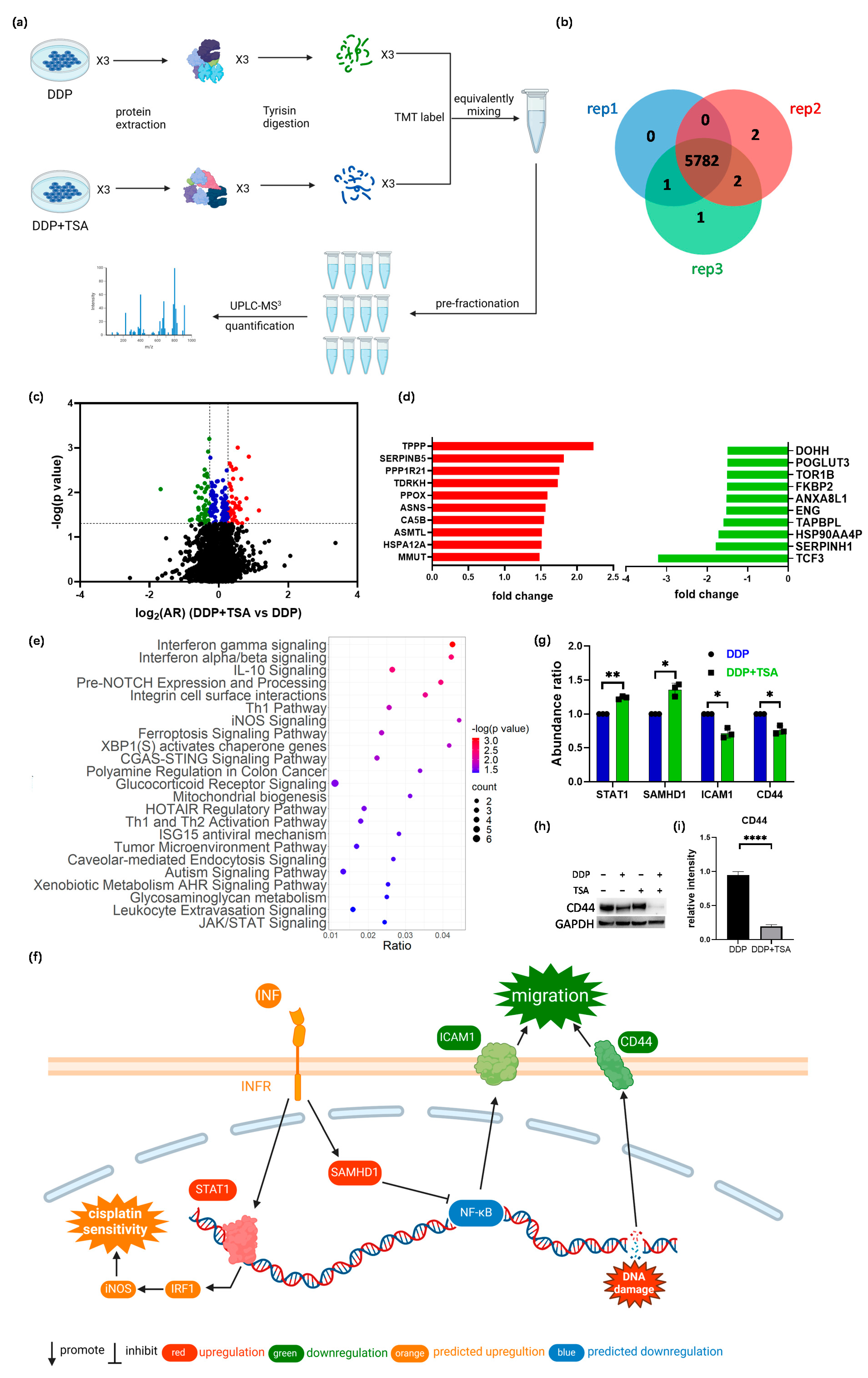 Molecules 29 02623 g003