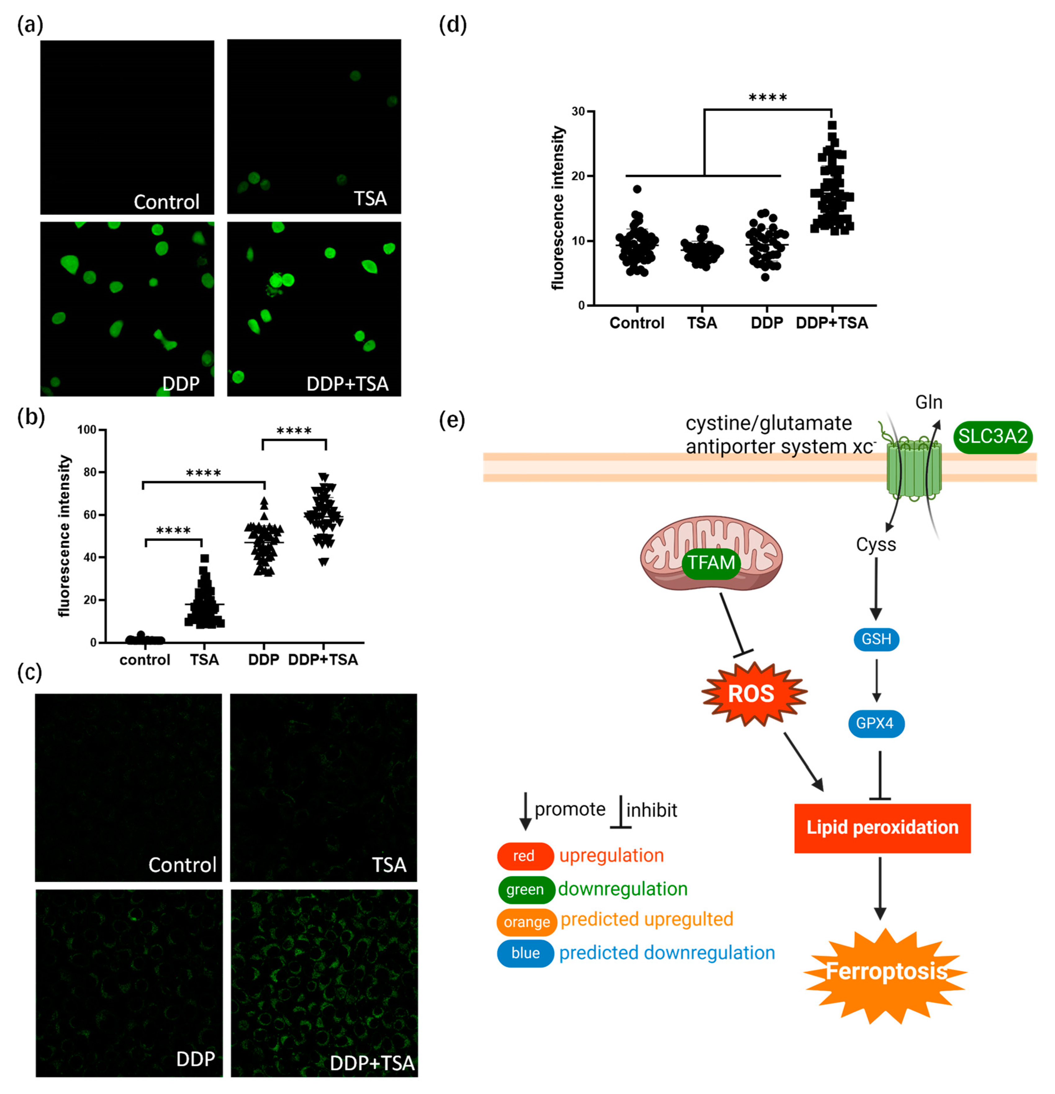 Molecules 29 02623 g004