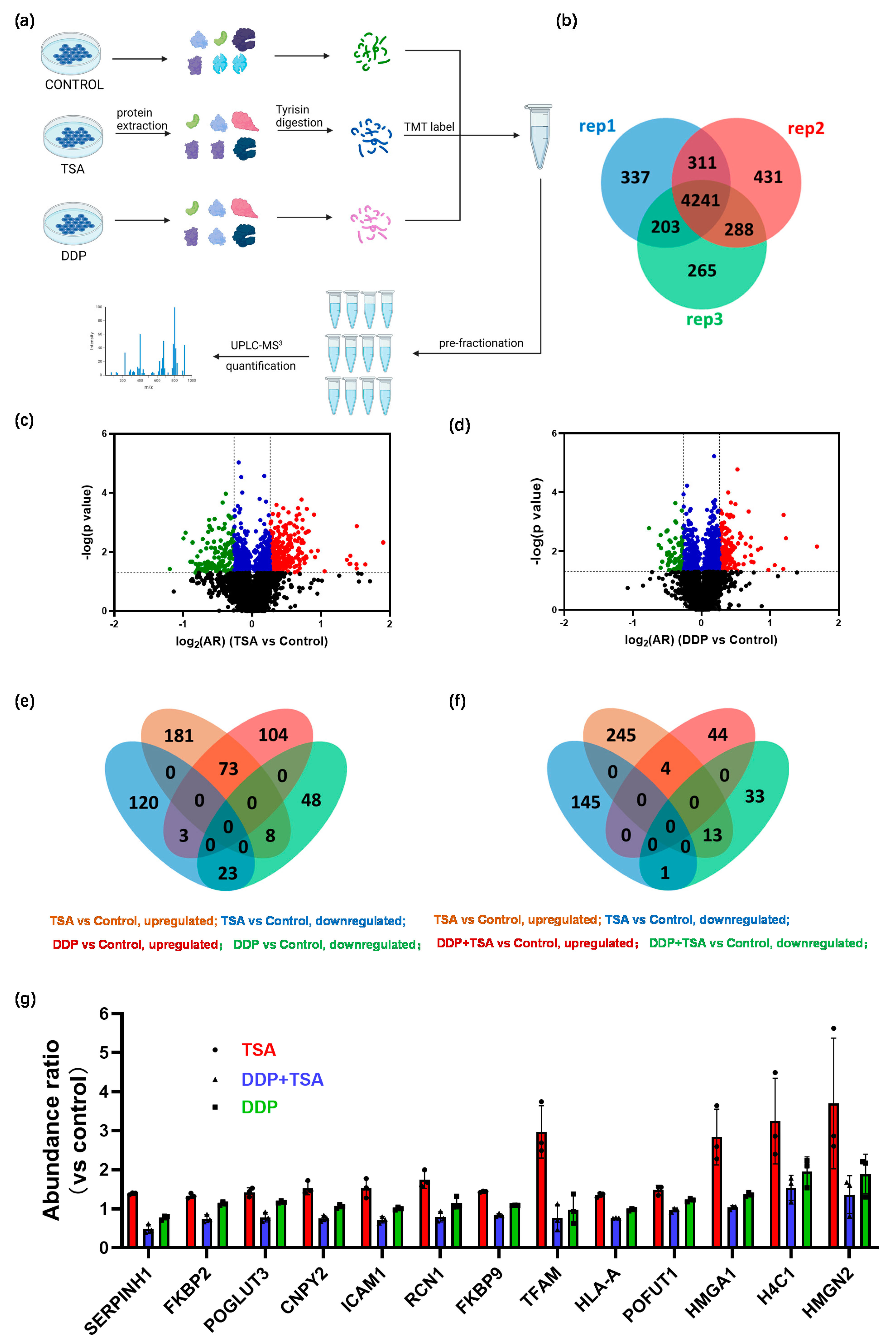 Molecules 29 02623 g005