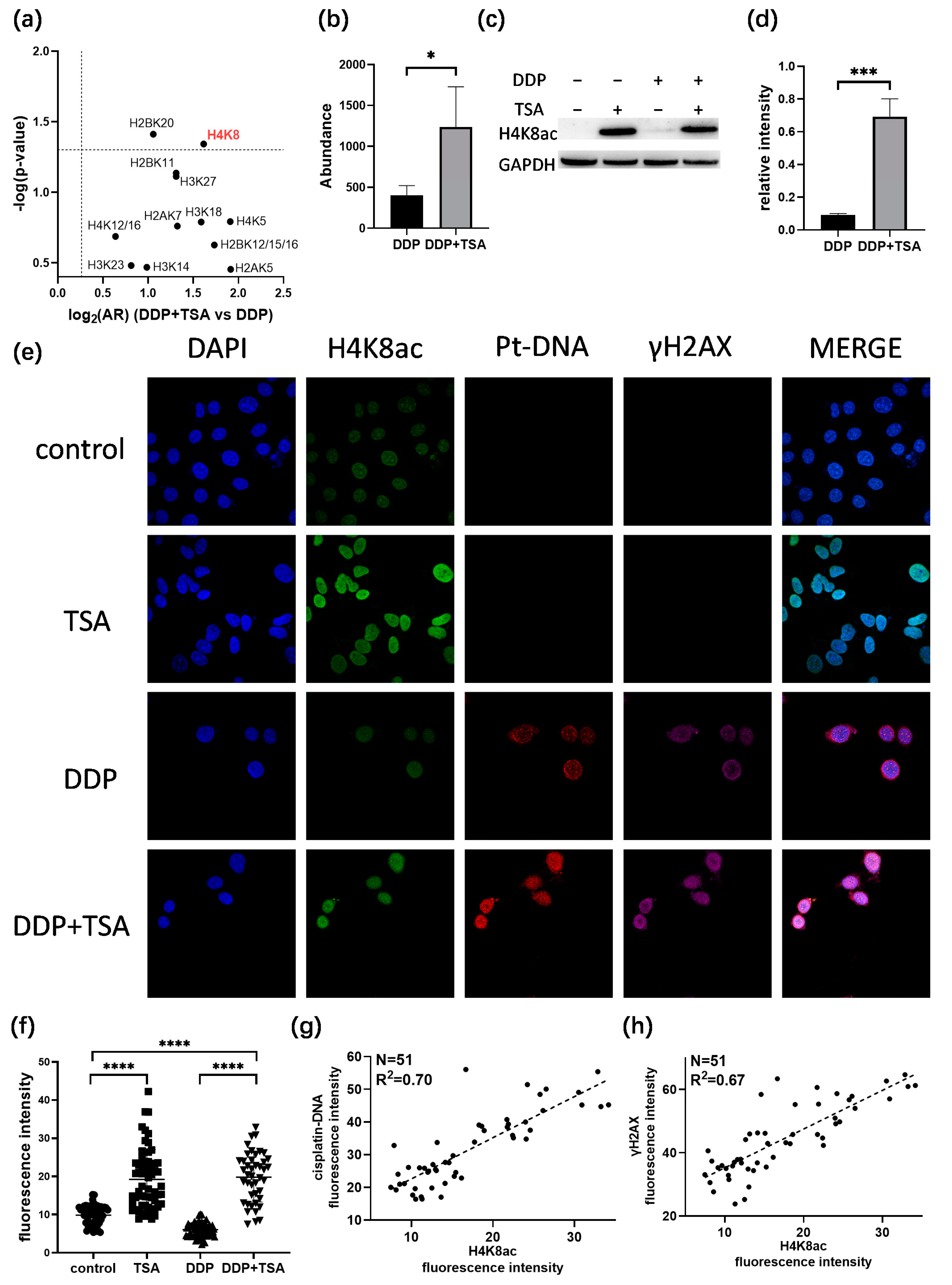 Molecules 29 02623 g006
