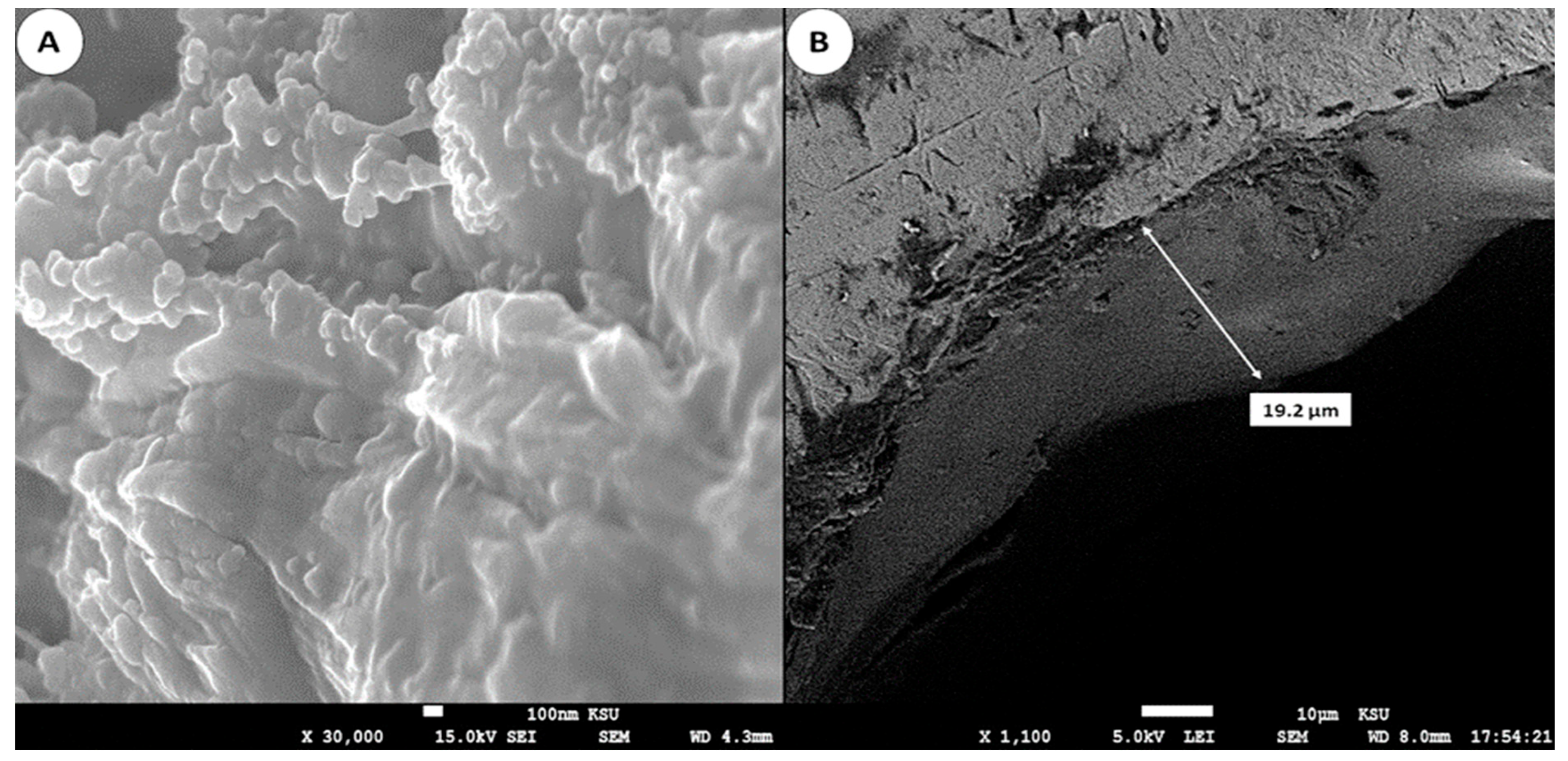 Molecules 29 02628 g002