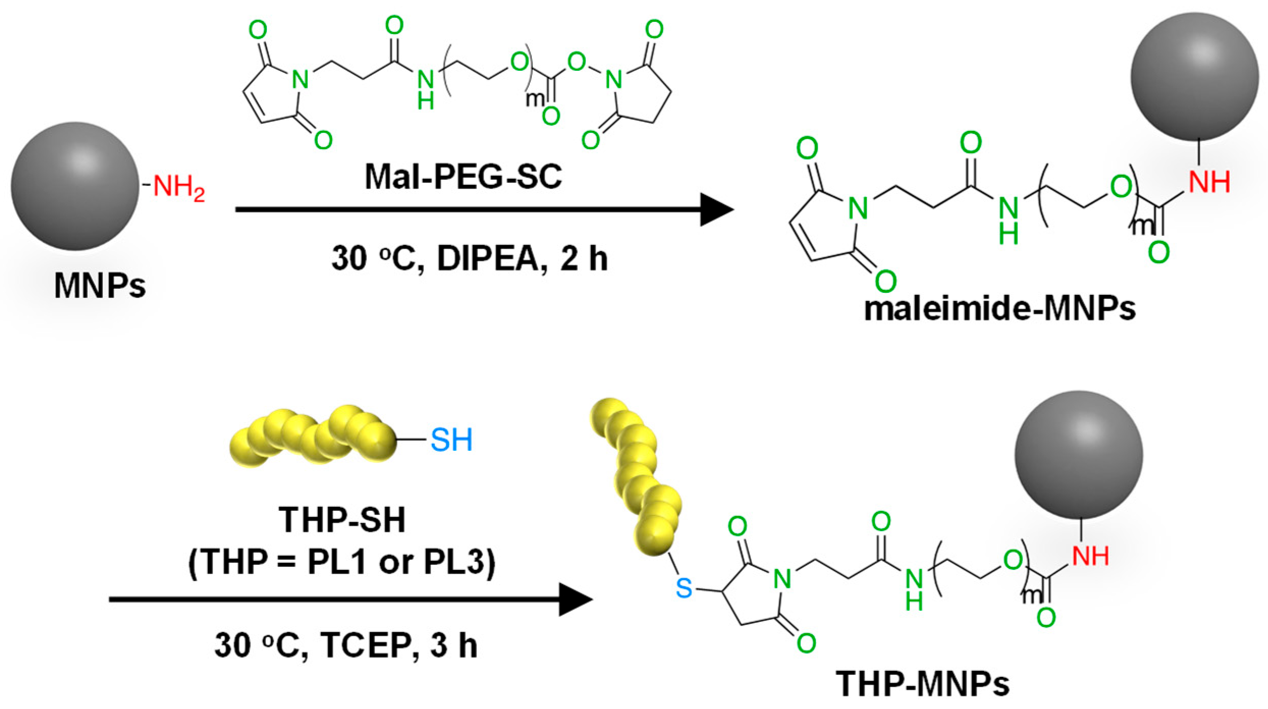 Molecules 29 02632 g001