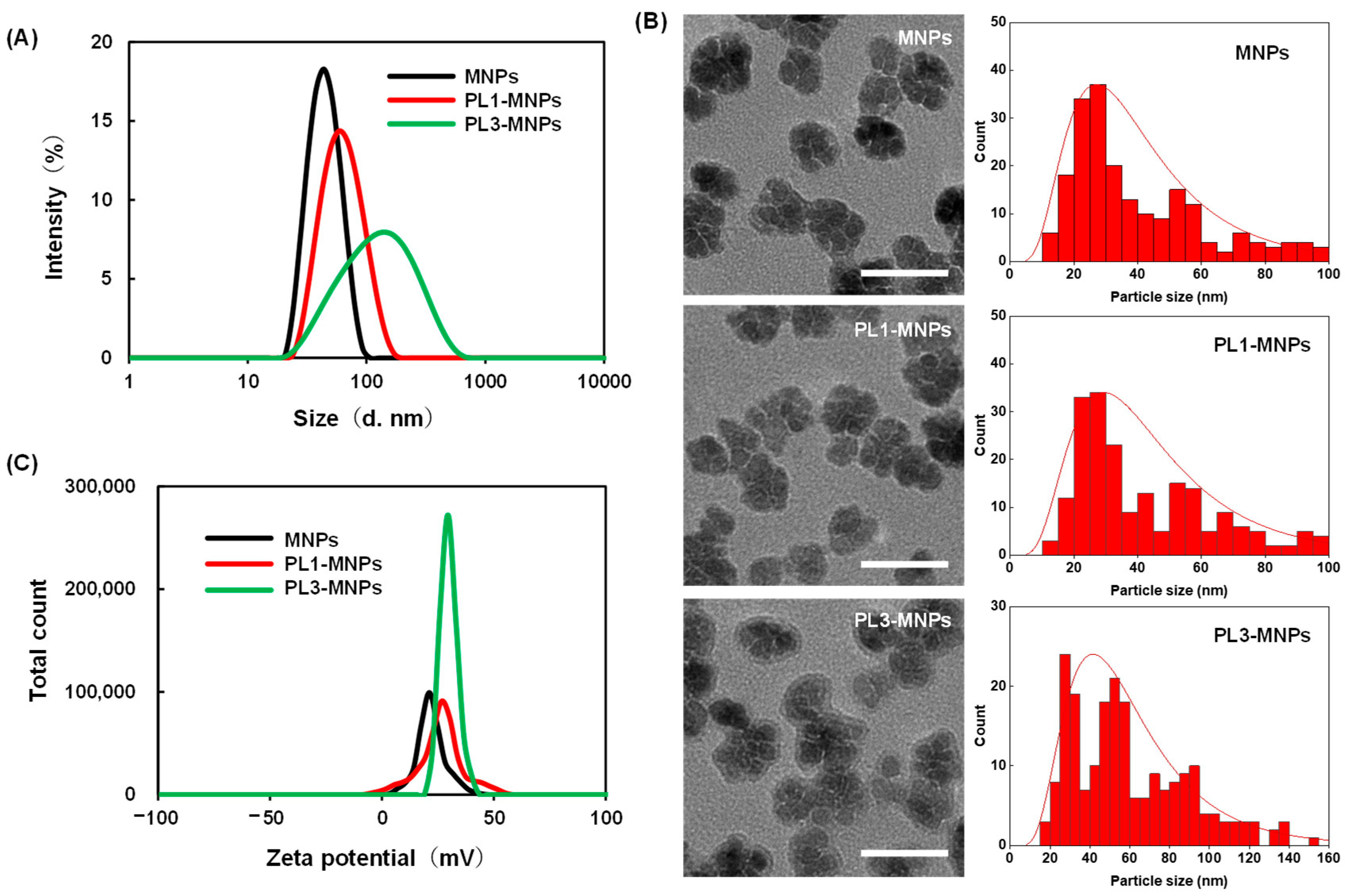 Molecules 29 02632 g002