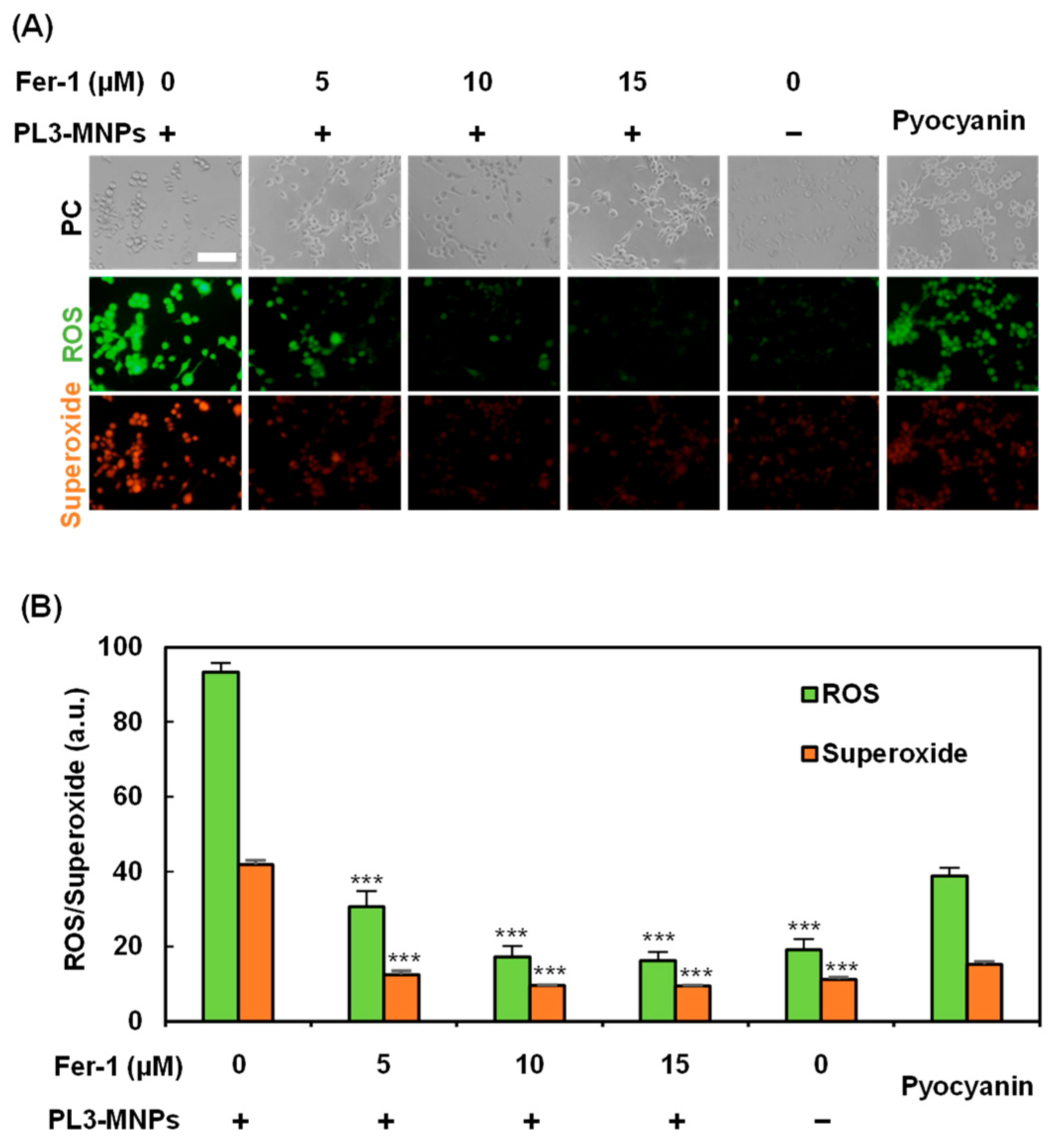 Molecules 29 02632 g006