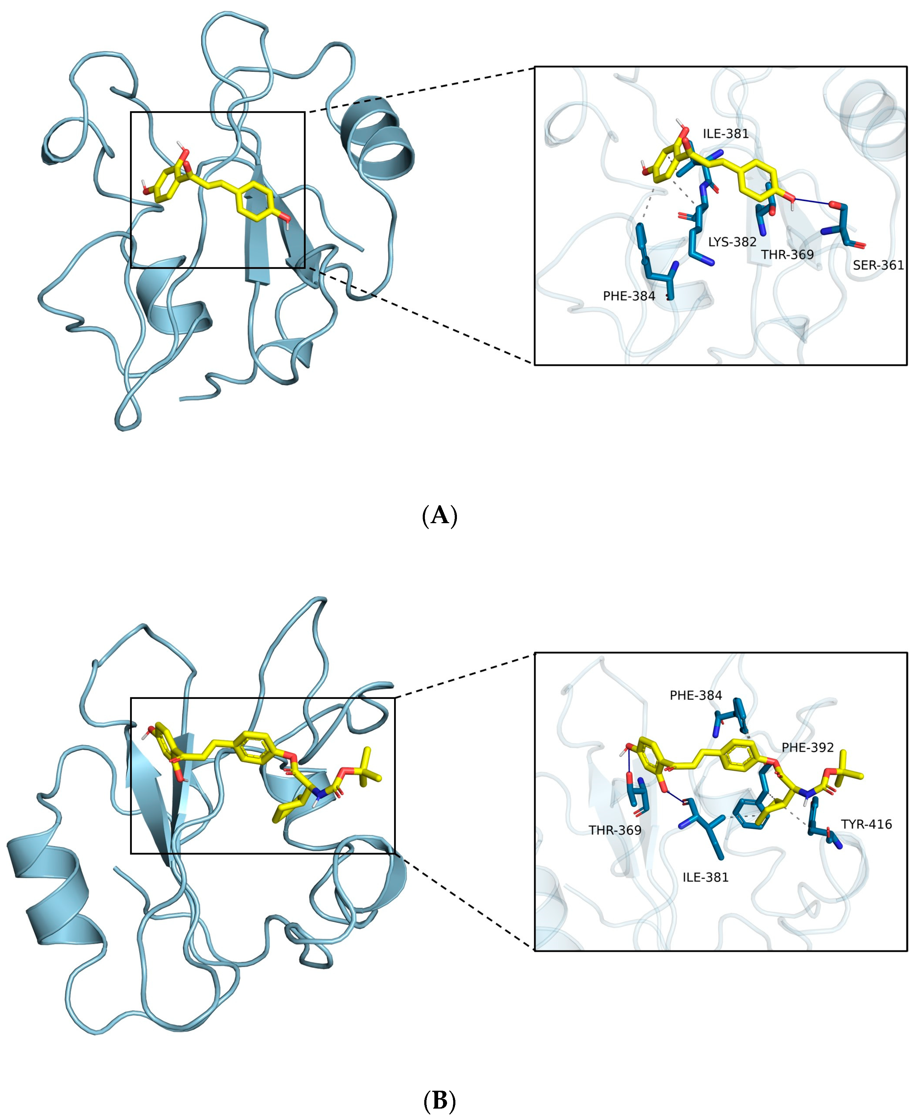 Molecules 29 02641 g005a