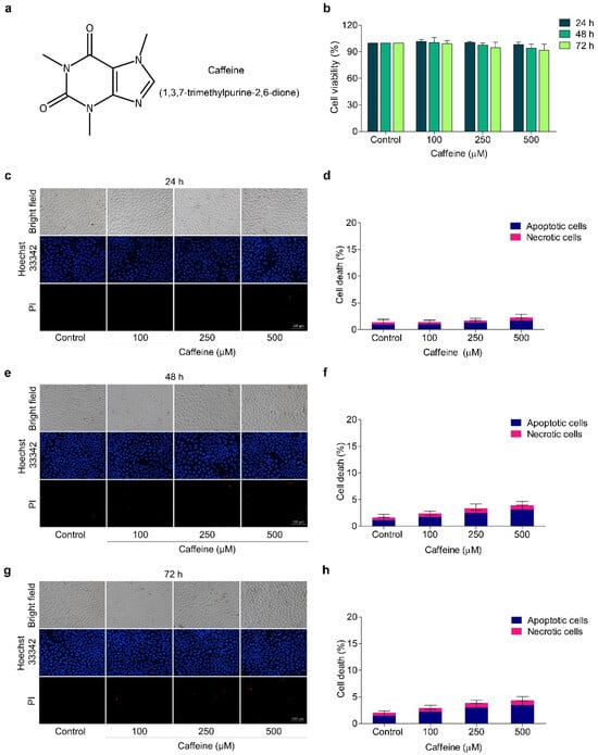Molecules 29 02642 g001