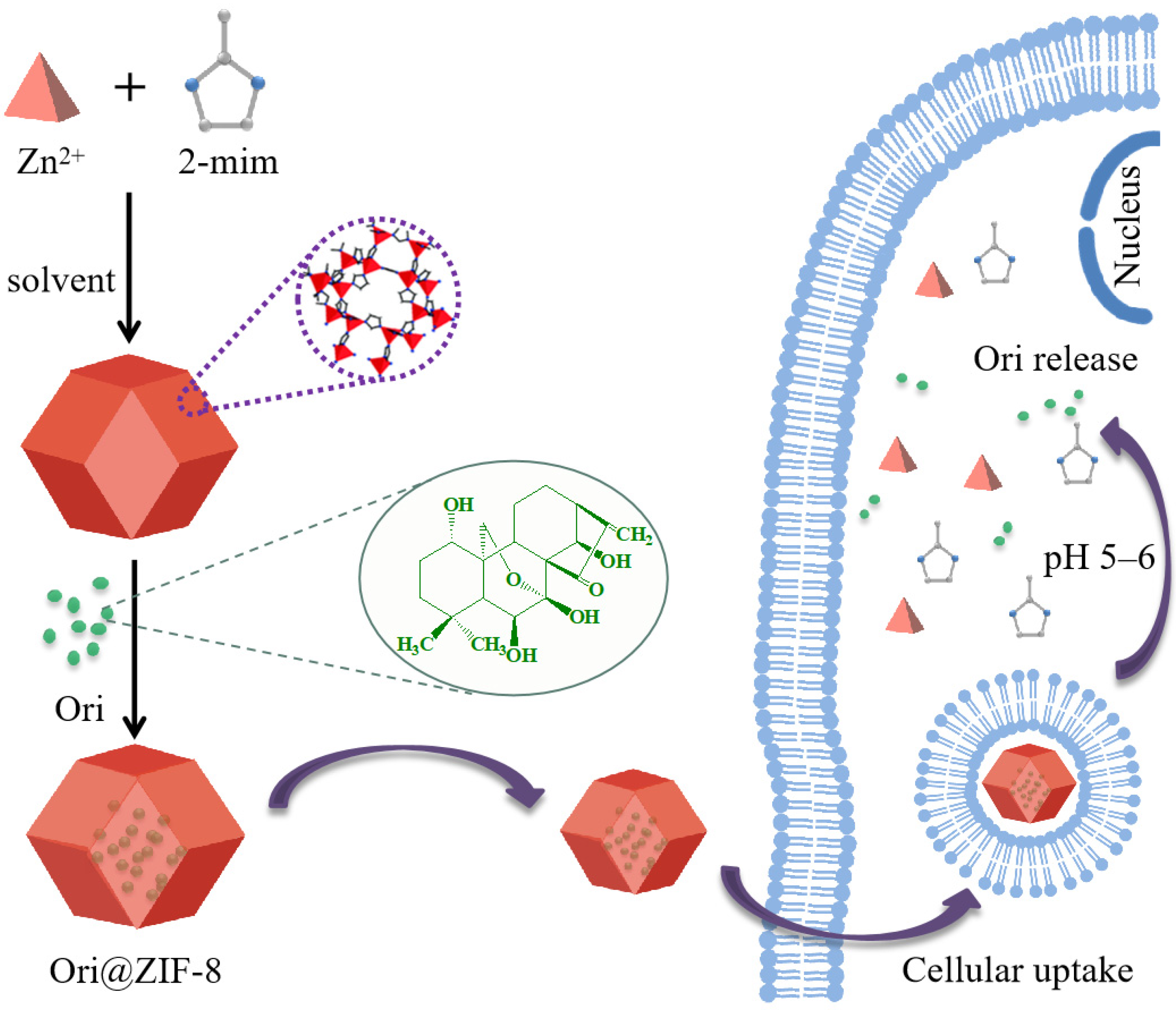 Molecules 29 02643 sch001