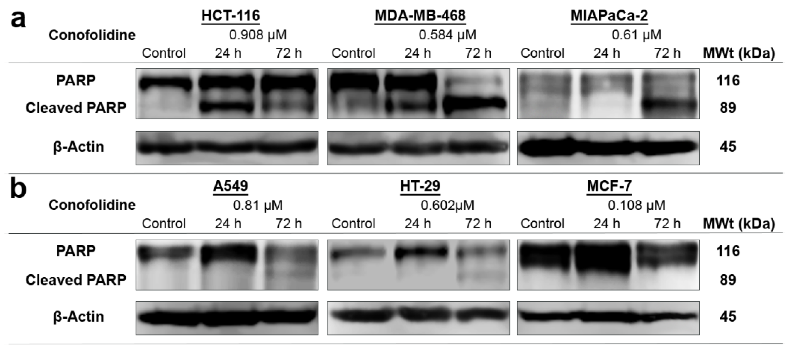 Molecules 29 02654 g007 Molecules 29 02654 g007