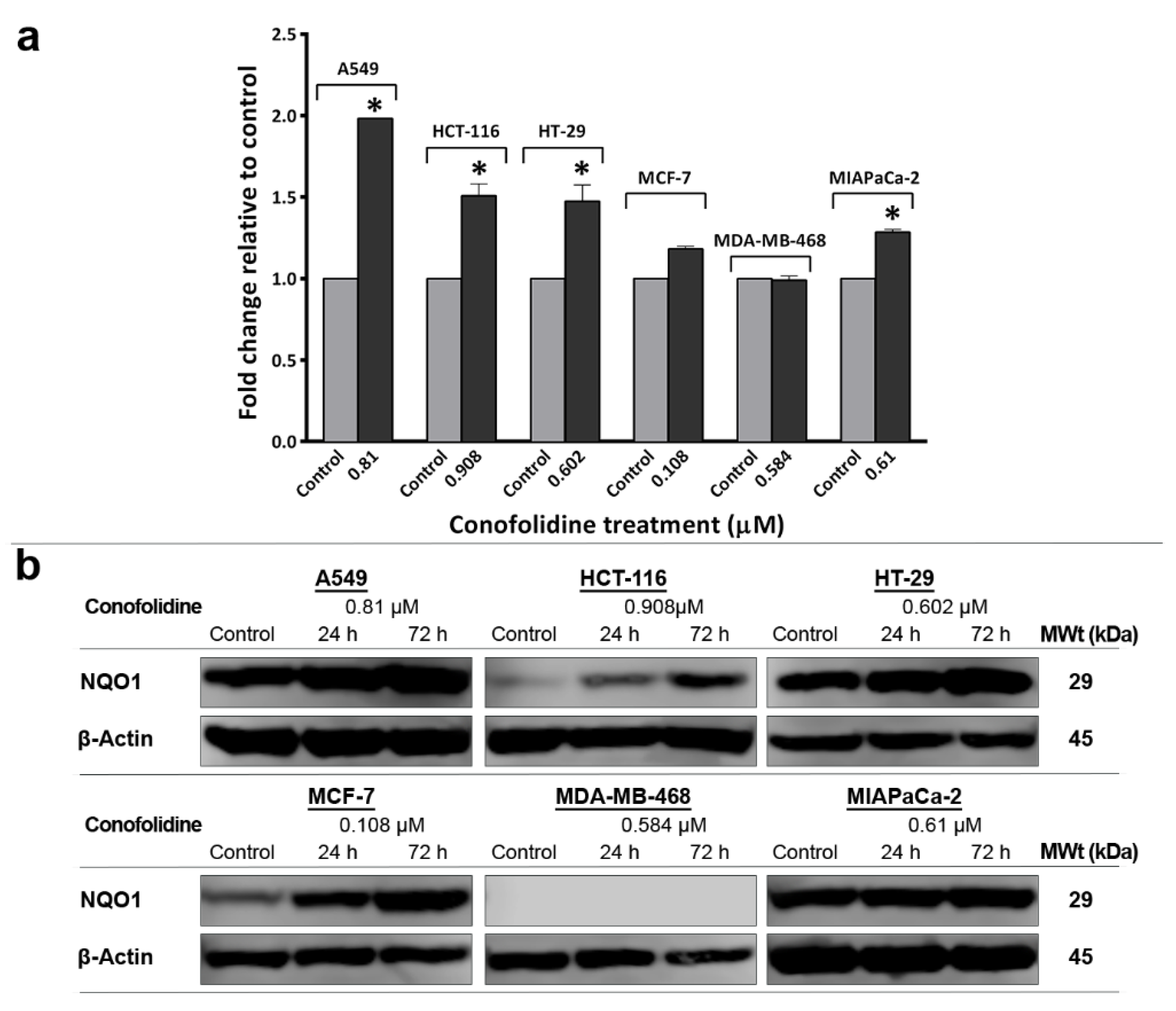 Molecules 29 02654 g012 Molecules 29 02654 g012