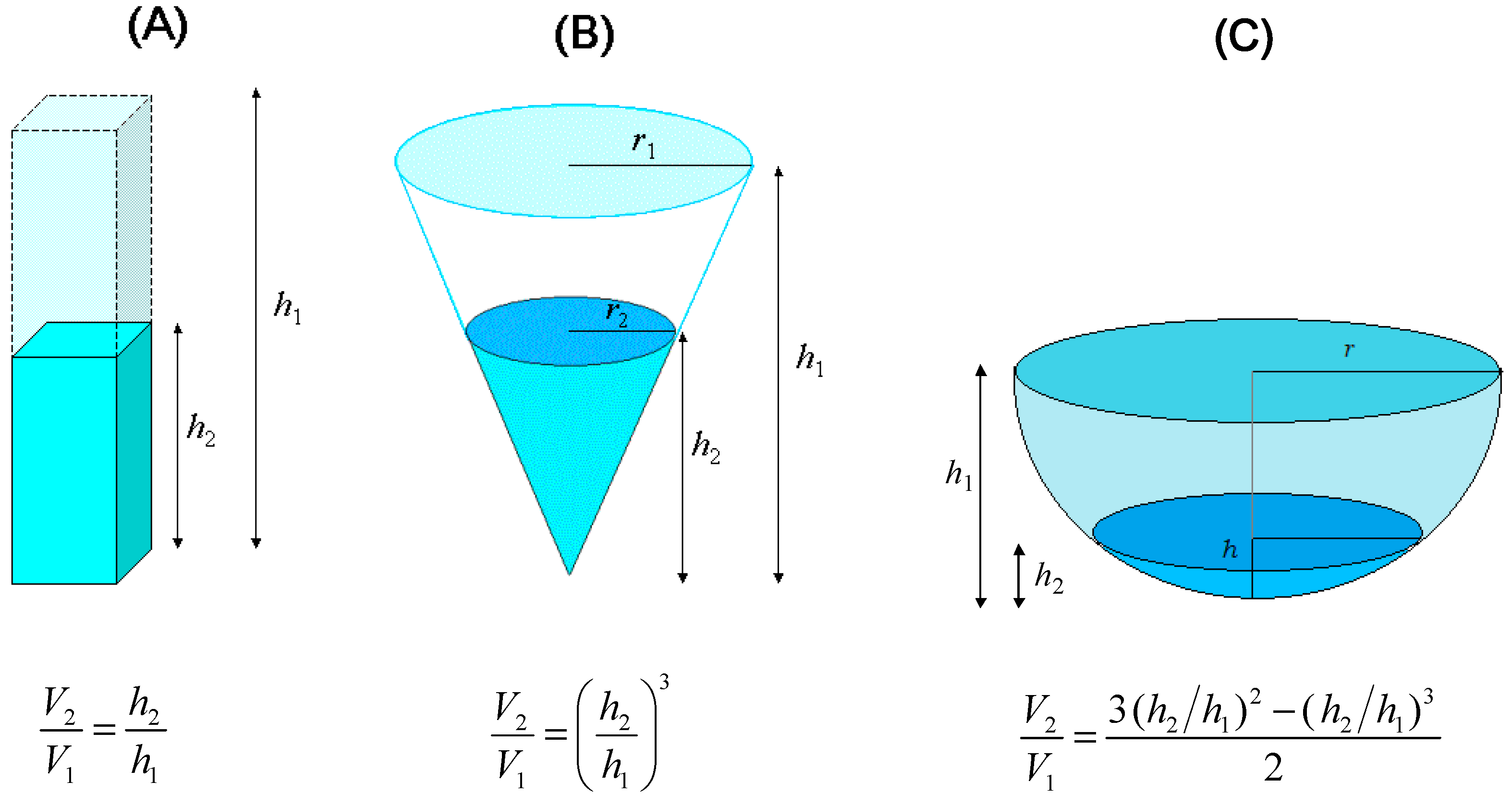 Molecules 29 02655 g001