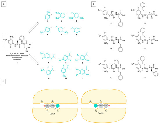 Molecules 29 02660 g001