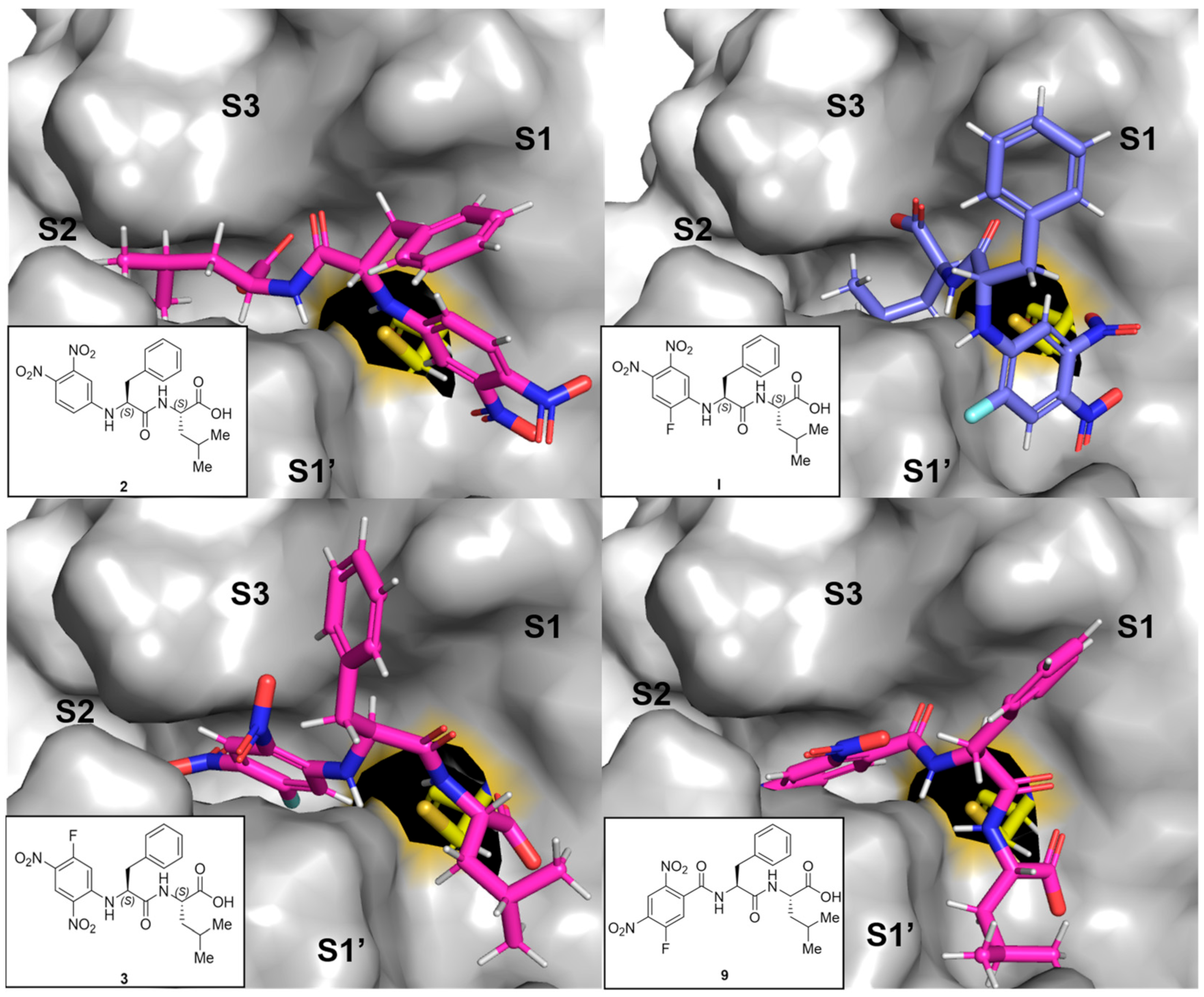 Molecules 29 02660 g004 Molecules 29 02660 g004