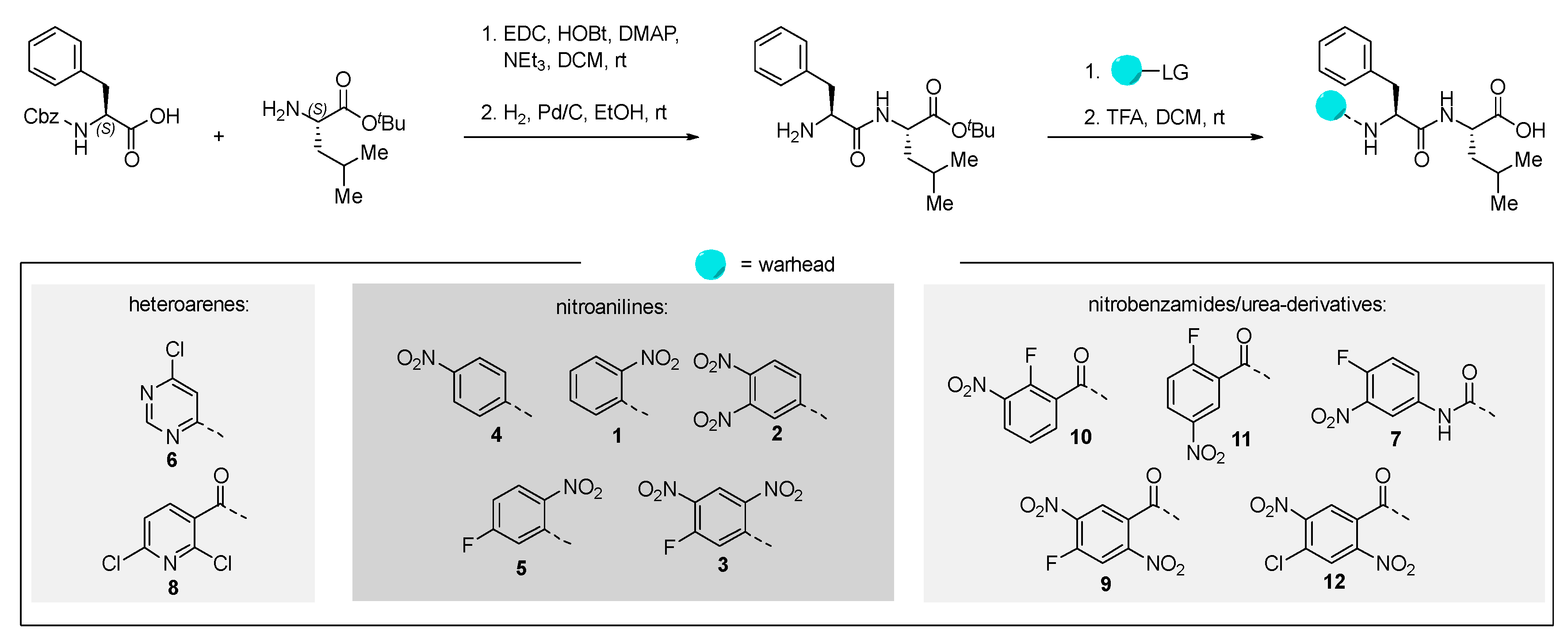 Molecules 29 02660 sch001 Molecules 29 02660 sch001