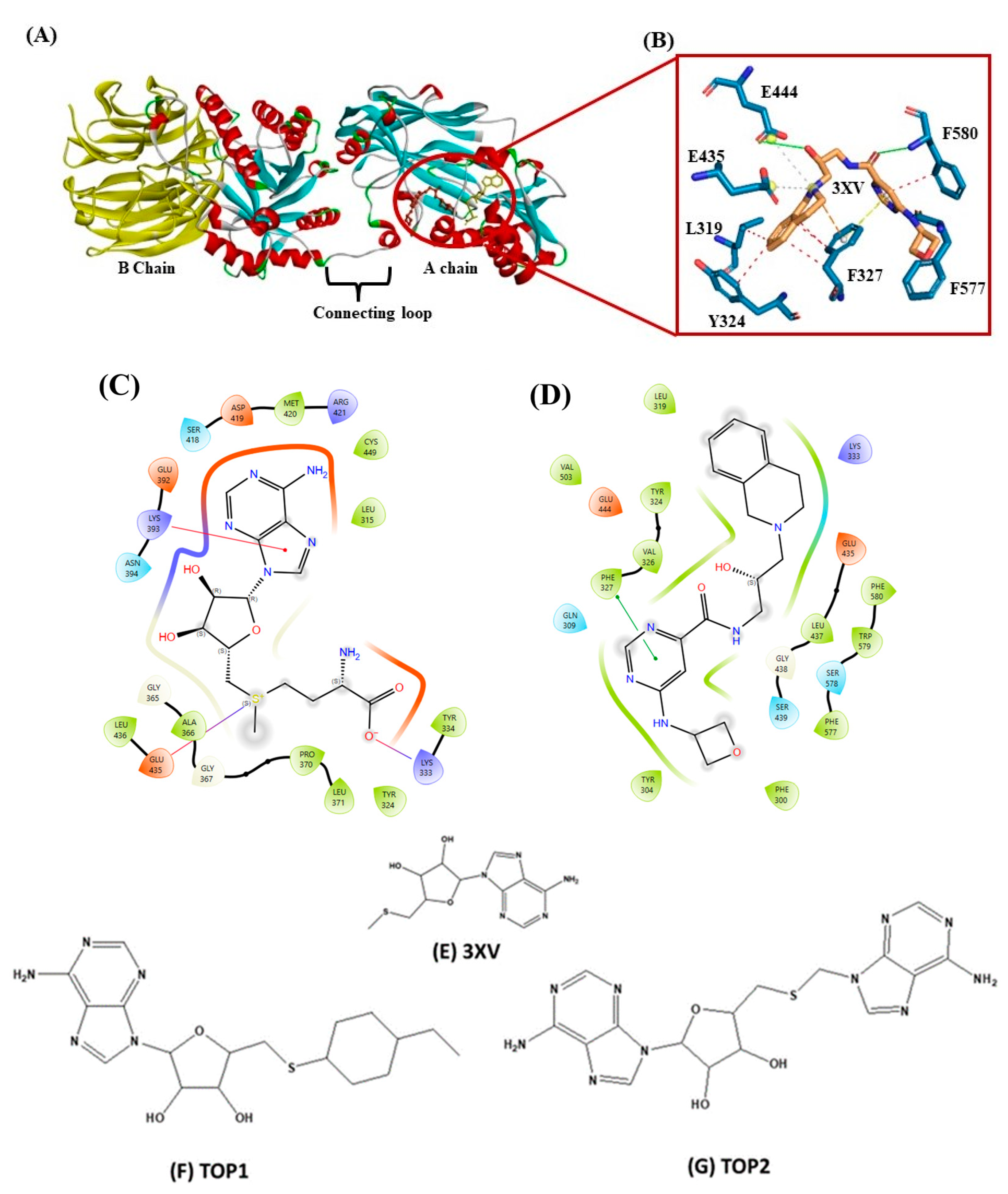 Molecules 29 02662 g002